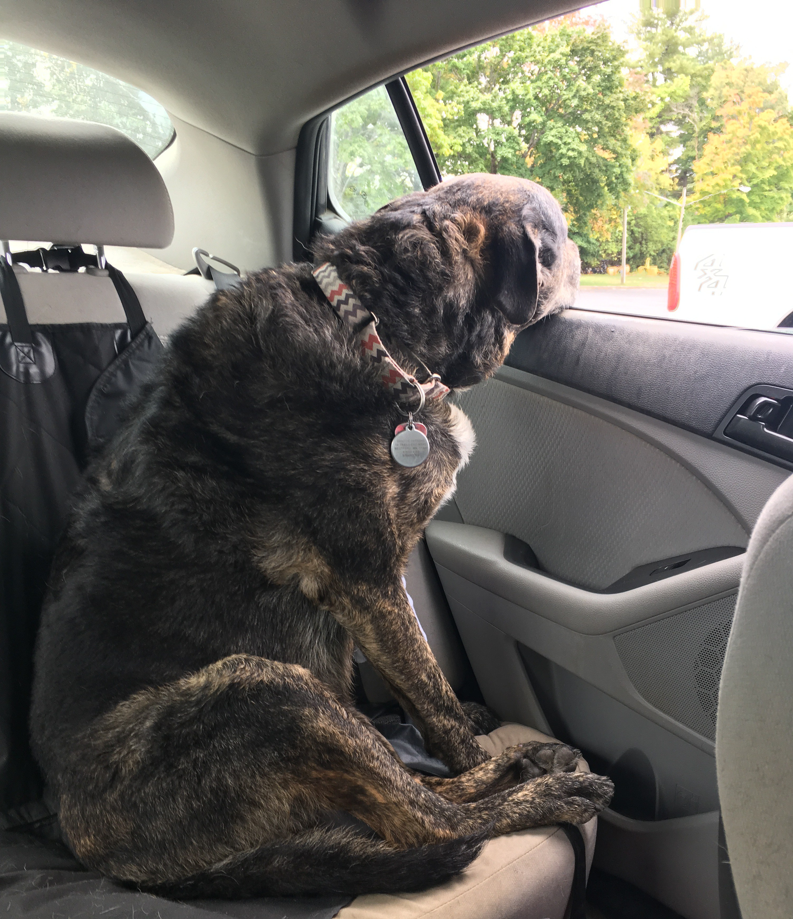 ACEA5209-BF66-4421-A719-C9E2DF9BAE4B