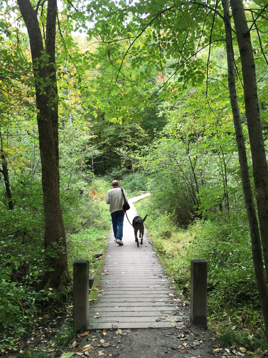 A0E0AA1E-4DBF-4AD5-9A41-8C5A2543A695