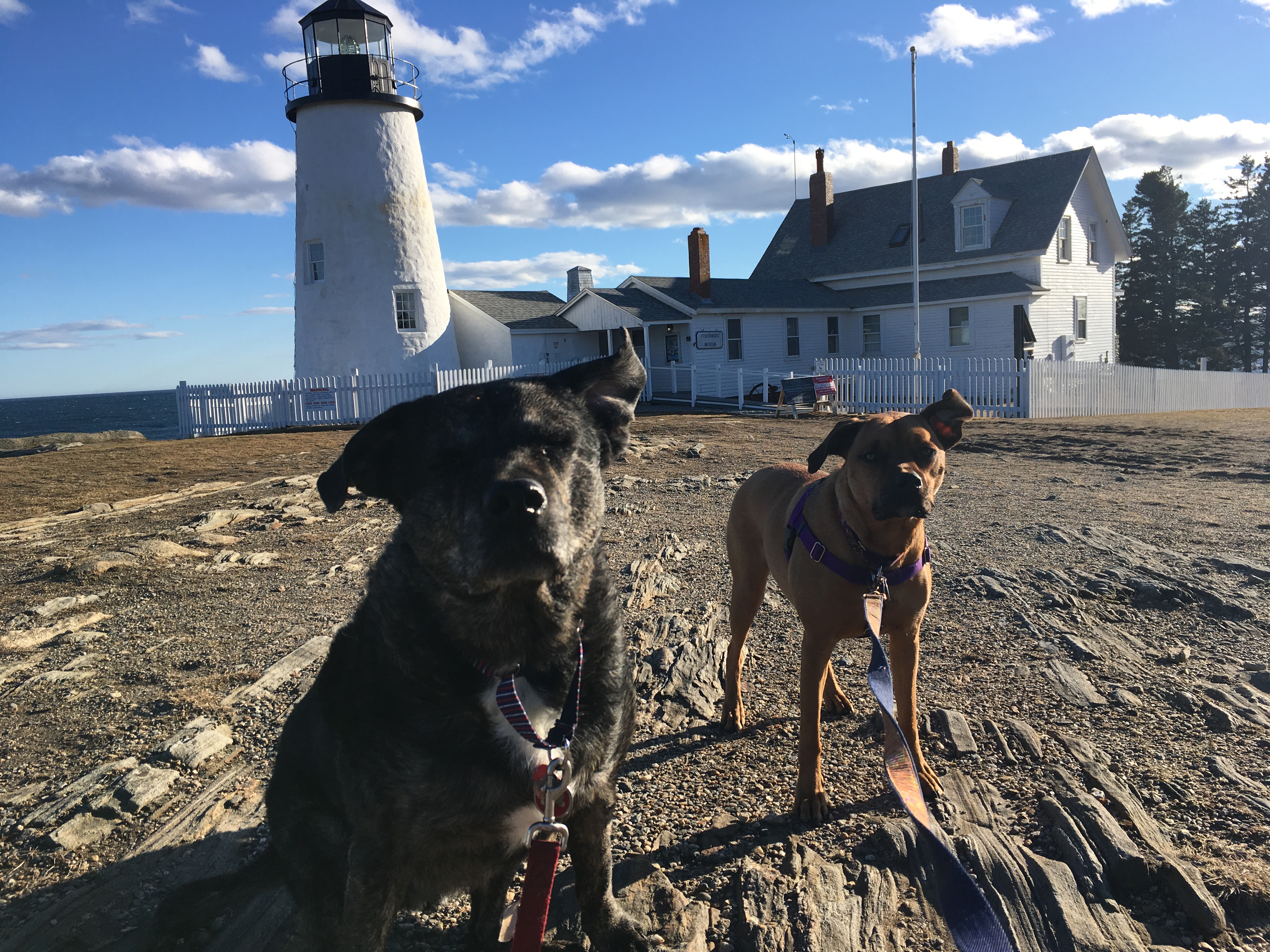 6EB517B4-9058-4210-8E1E-AC163CCC6AAA