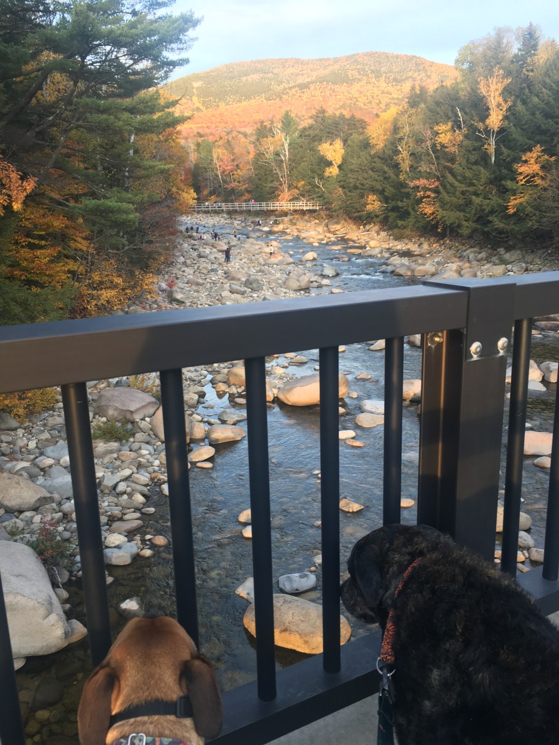 6E21484A-8279-4816-A867-C5C2E0A98170