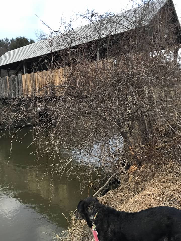 Coburn bridge i think