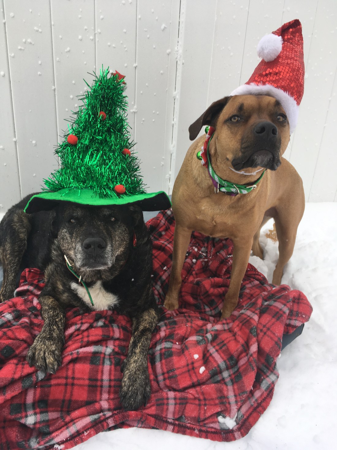 68194D00-9203-433F-92B3-51CF99F134D5