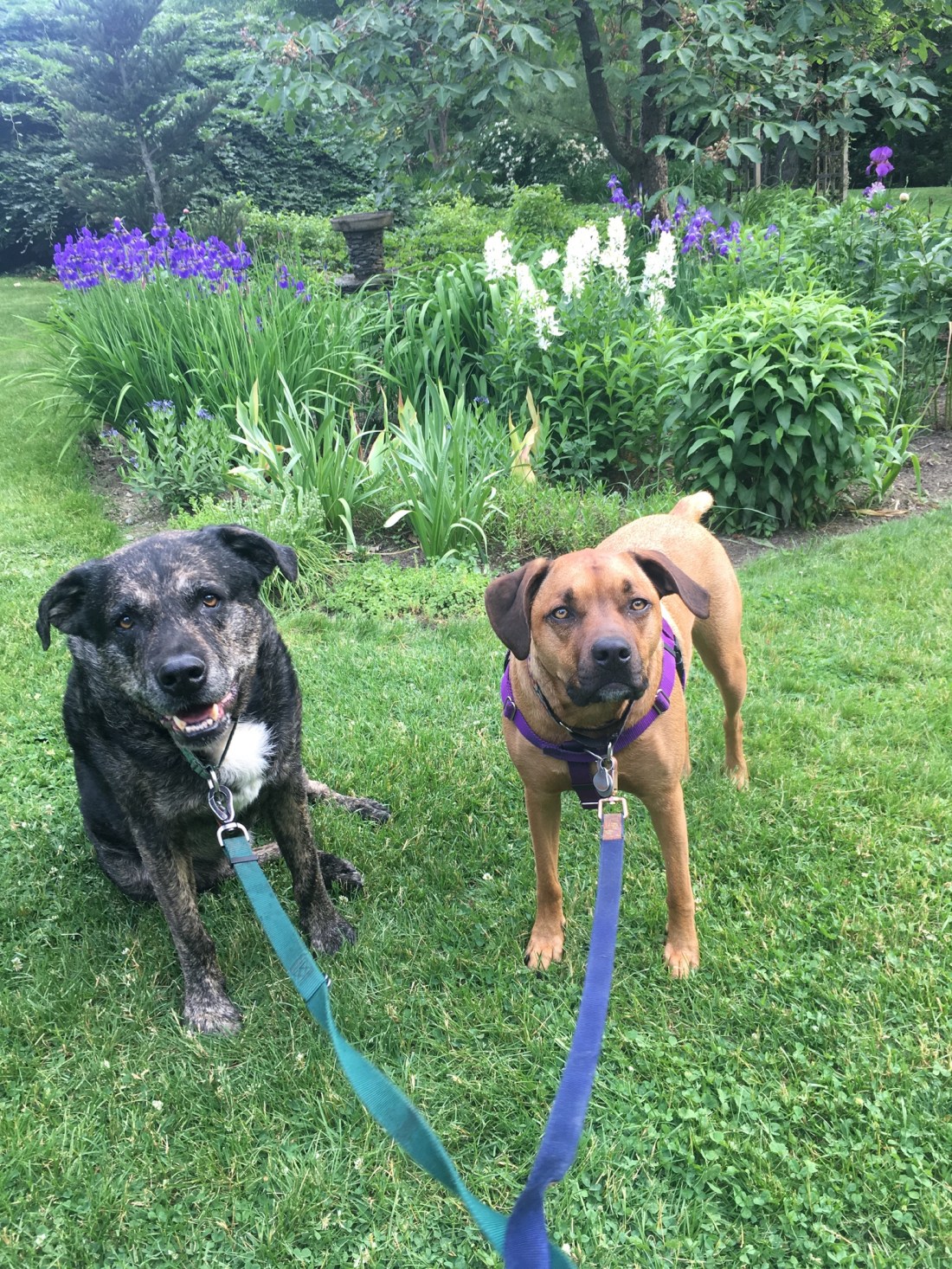 D0C694BC-1999-414F-86CC-2B00AD36A8A4