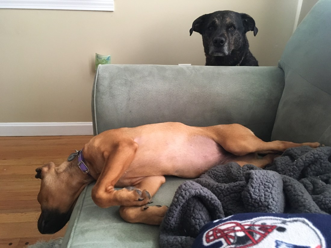 E0A57E53-0BA9-4B40-8270-E4A3BF657E83