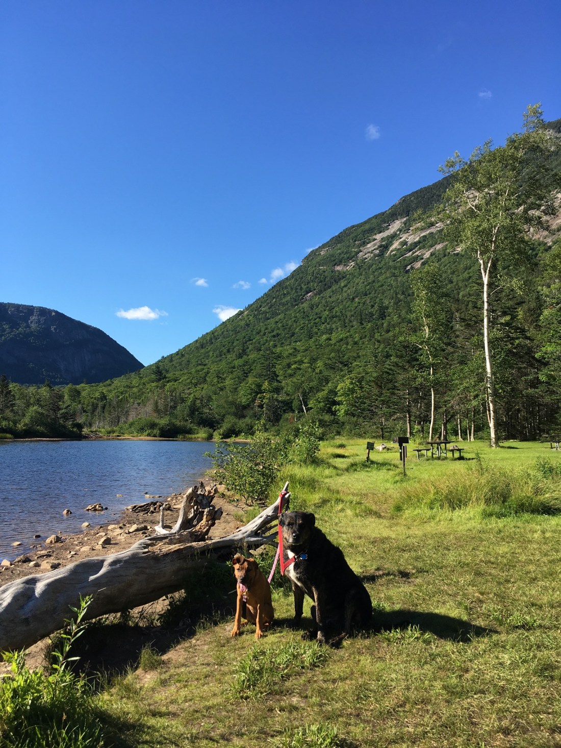 EE8D25E0-FC1A-4F87-9DCD-F53A3AB64383