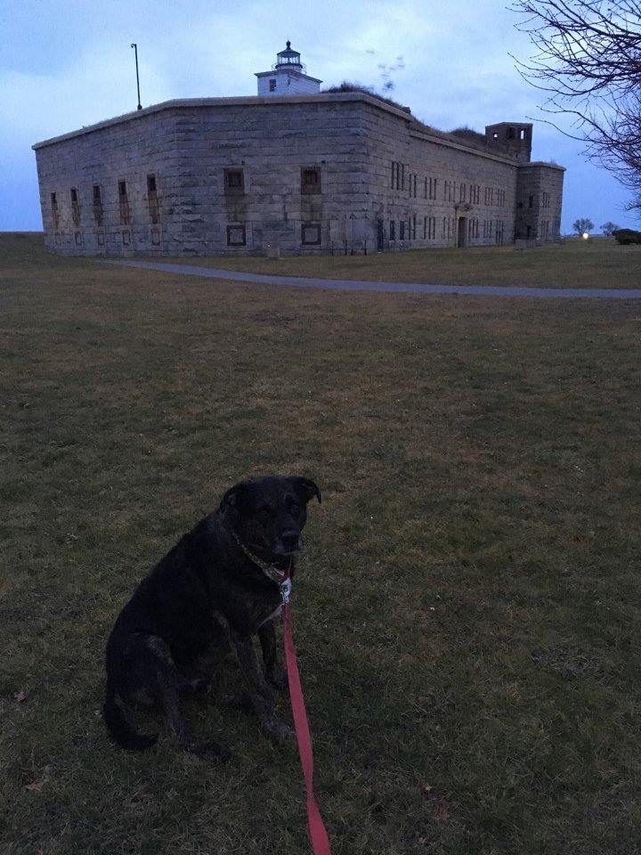 New Bedford Fort Taber.jpg