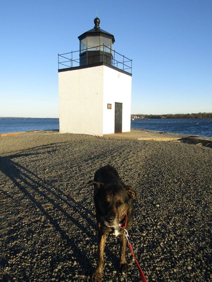 Salem Lighthouse Shadow