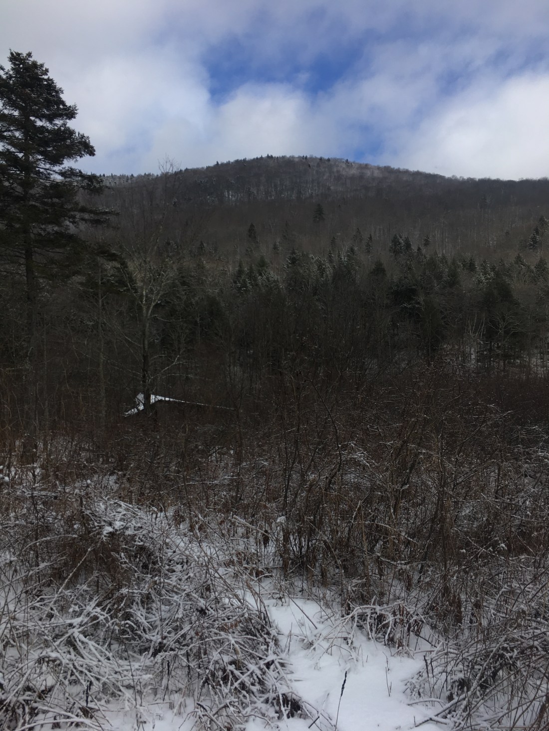 00424184-B68C-4321-BF15-4B42DD31B693