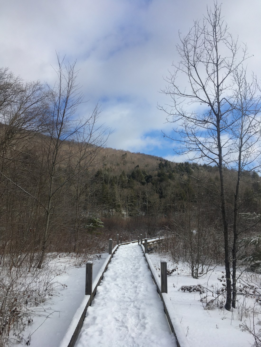 0181B15A-6382-493F-AF2E-98F3D935EF98