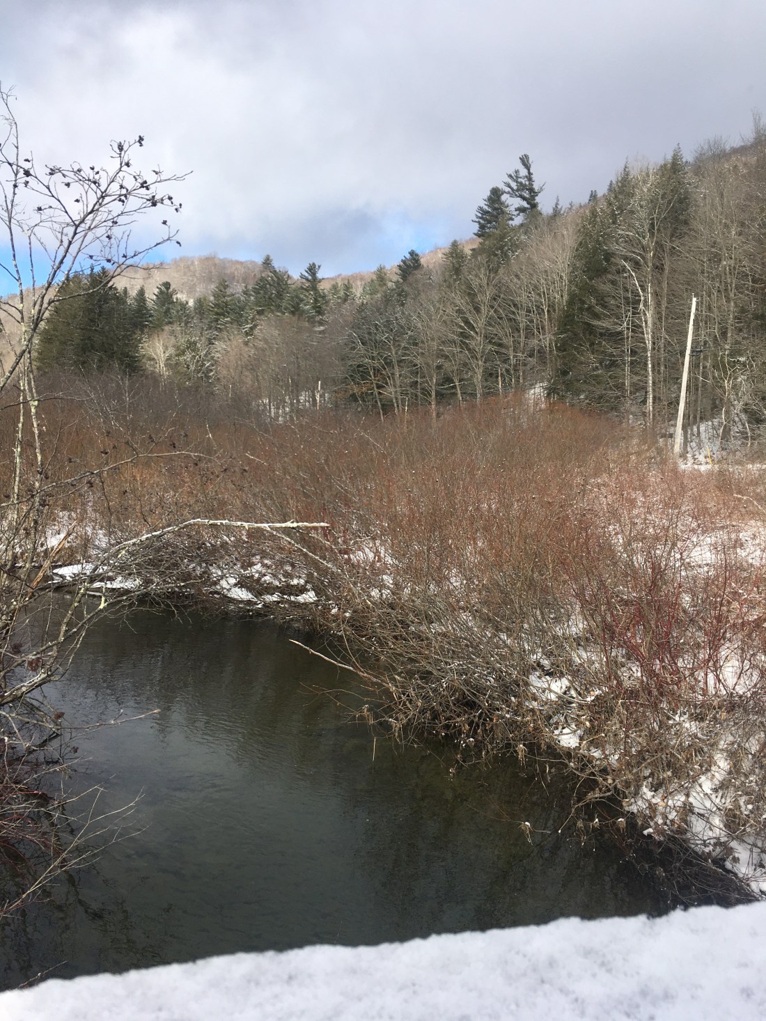 03DC7643-EC46-4DBA-9E66-FA349FFCDE0C