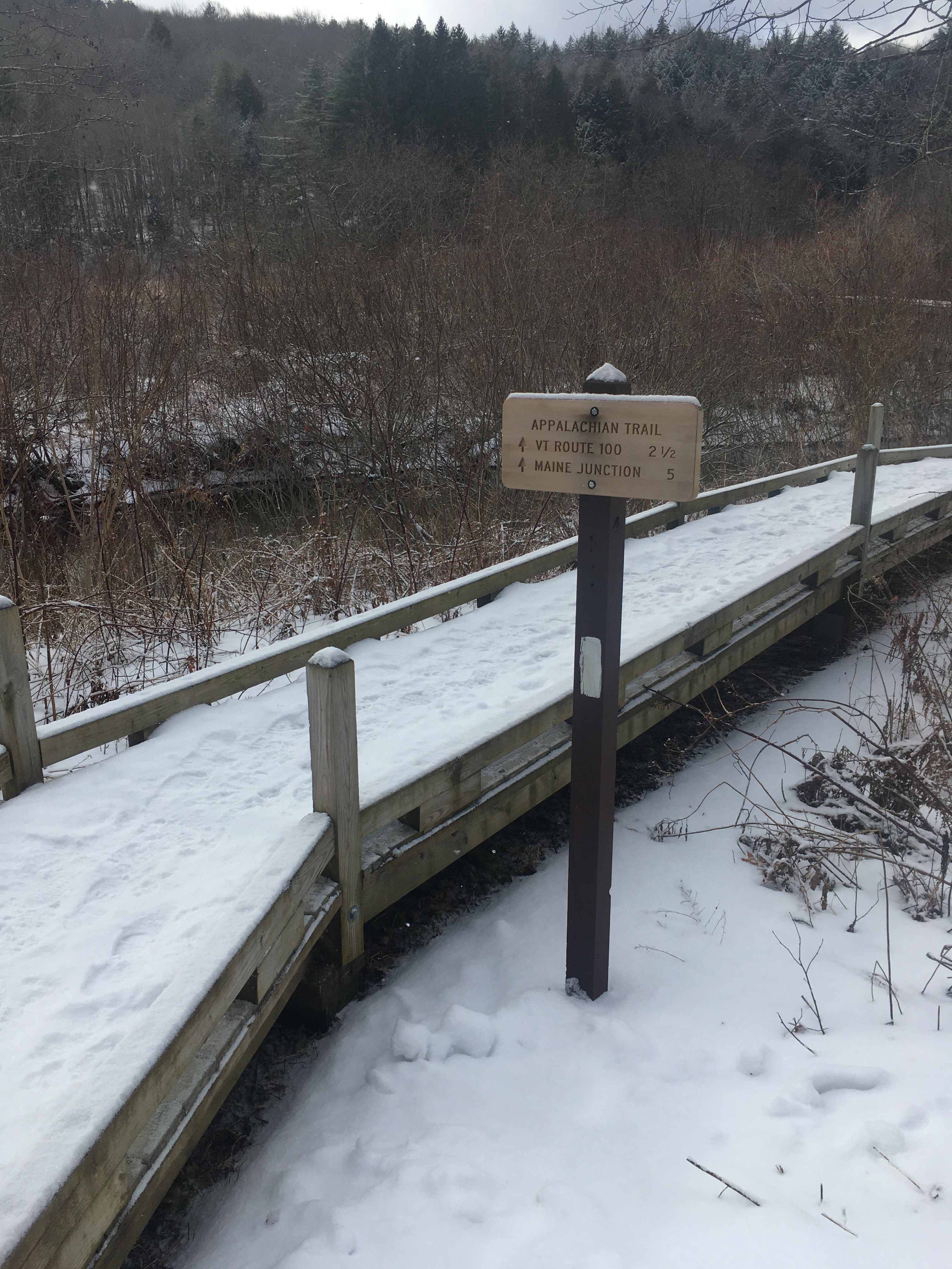 0B1E82C8-EE92-4008-8CD8-862A78307555