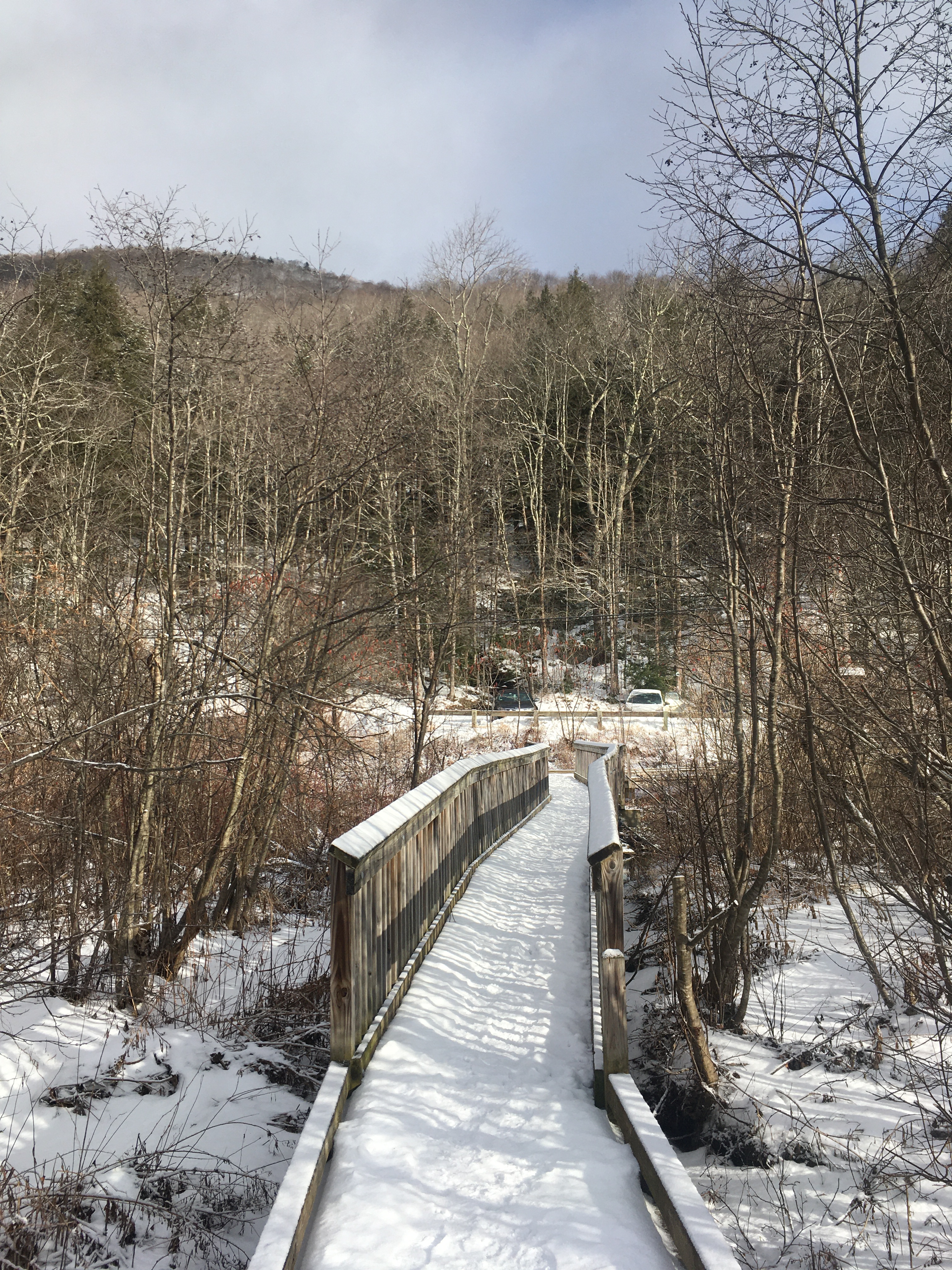 139306BD-C90C-4426-9049-4DEA7DAD7711