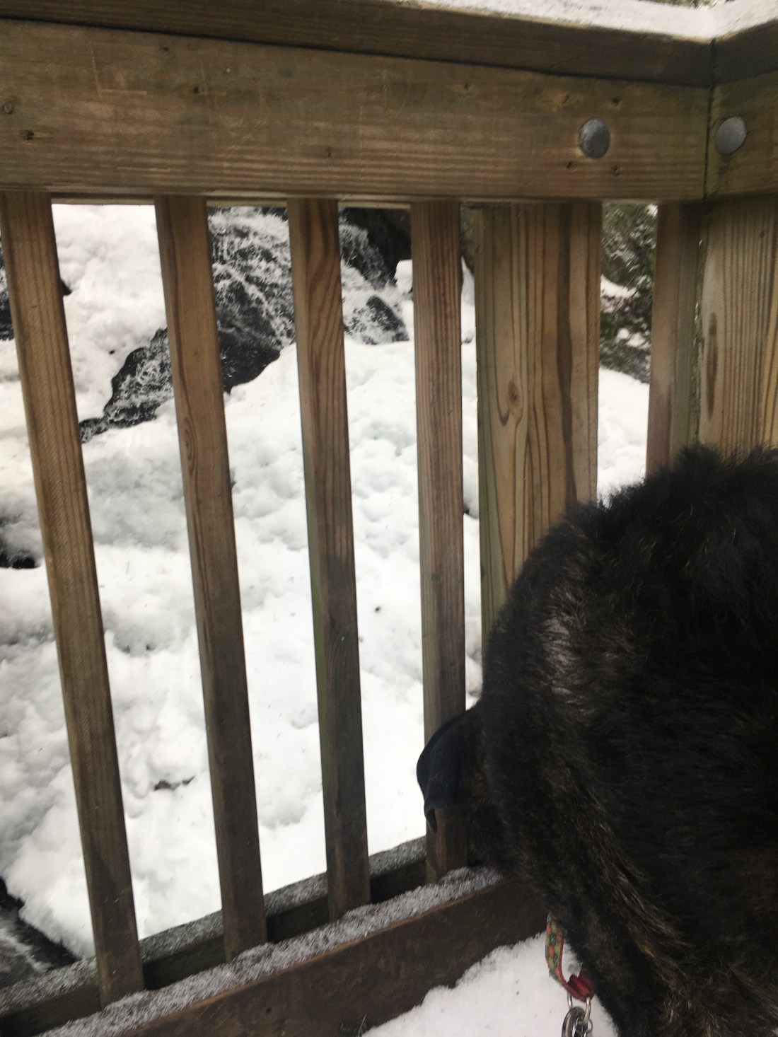 1BA3D441-39C6-4696-8C18-3DEA613CA1AA