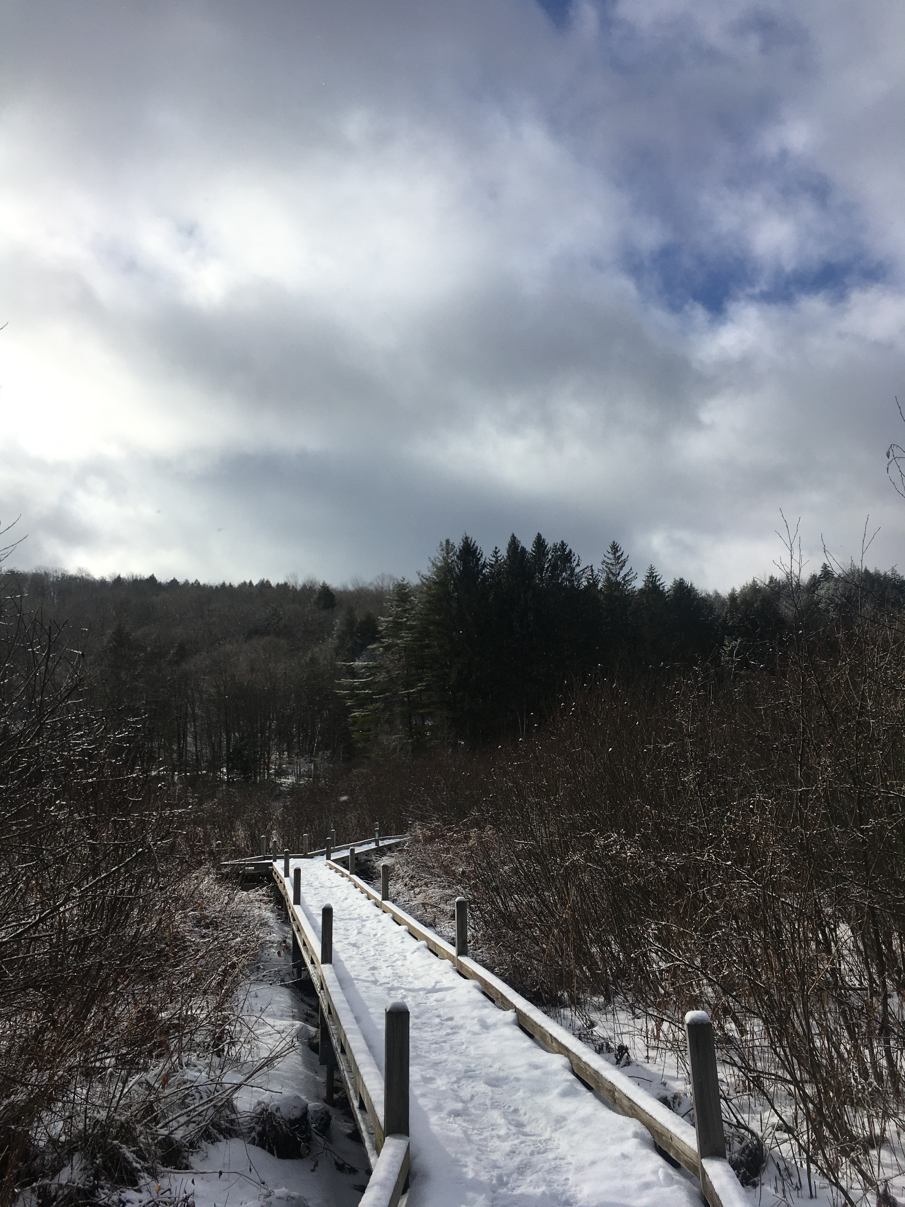 24490FBC-2EF0-44A6-AD56-44FB0B87AE59