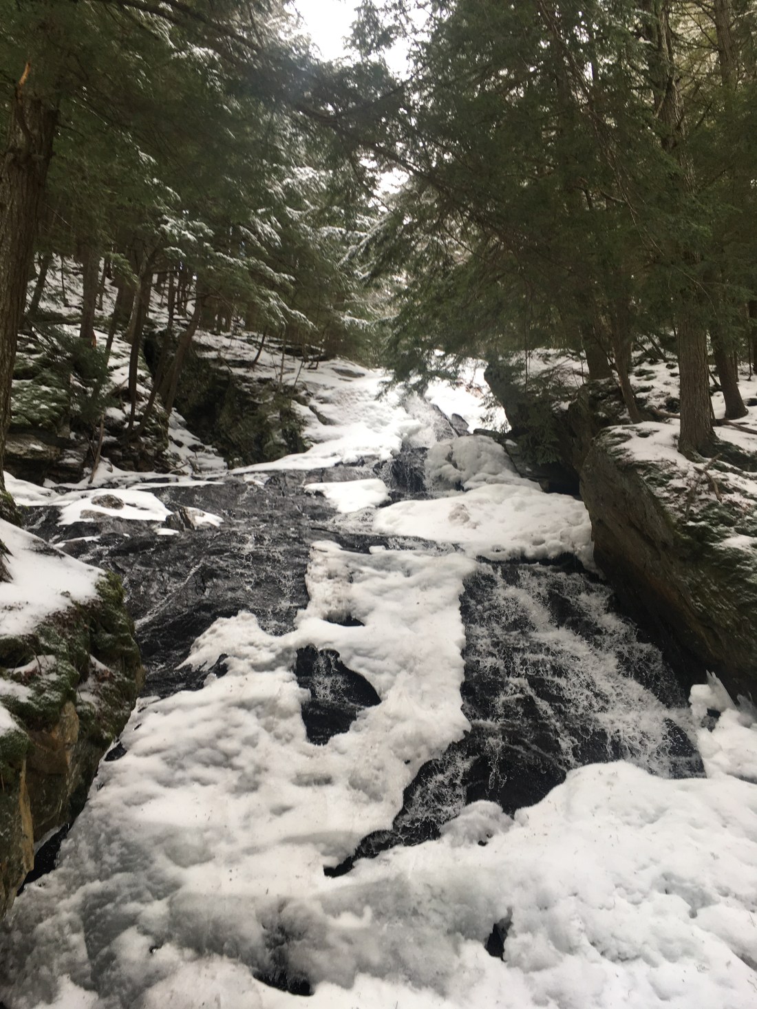 24796353-52F9-466C-97DF-8618EECE2113