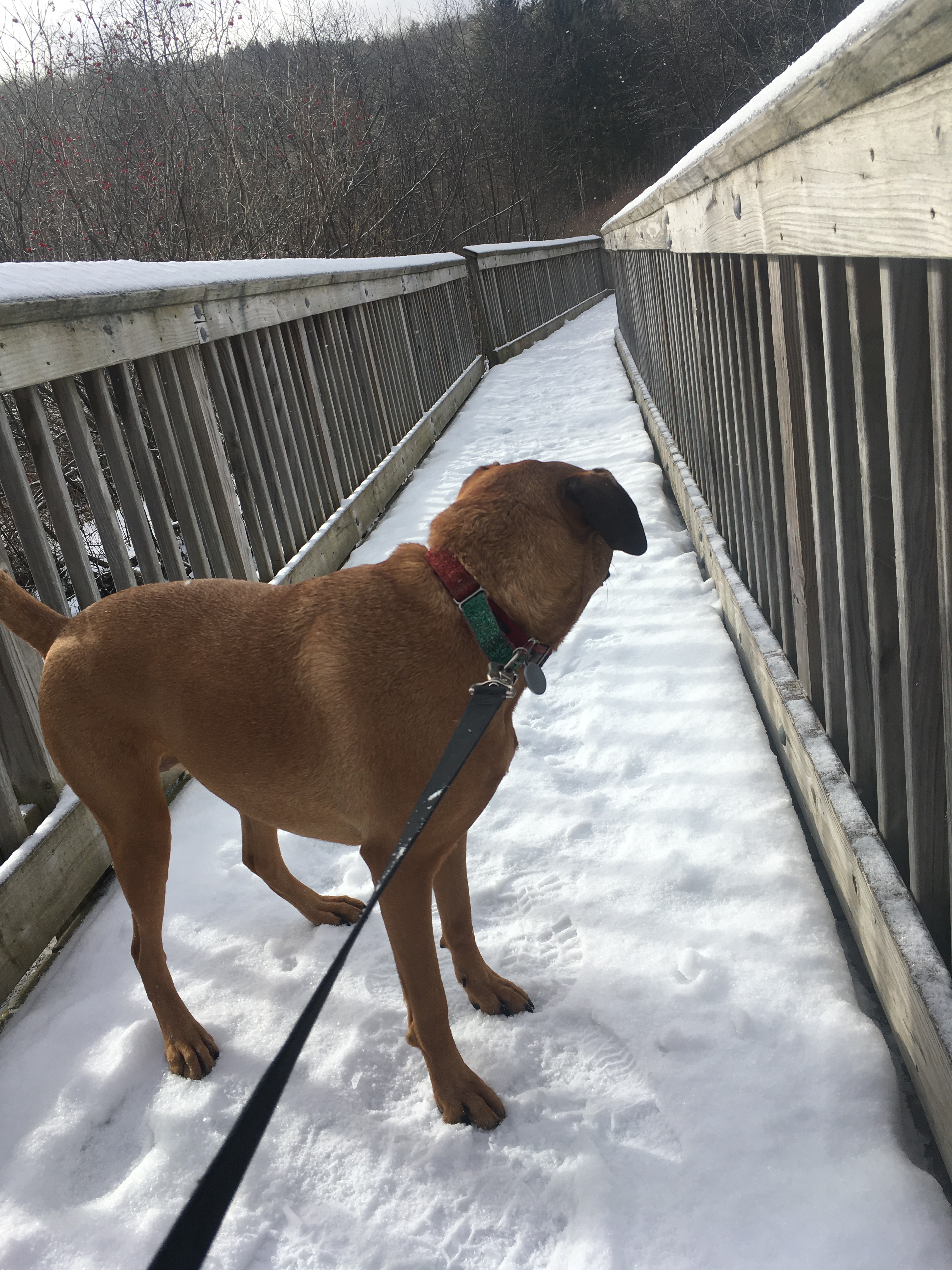 256CA002-B70D-4DBF-909C-7F835A46A09C