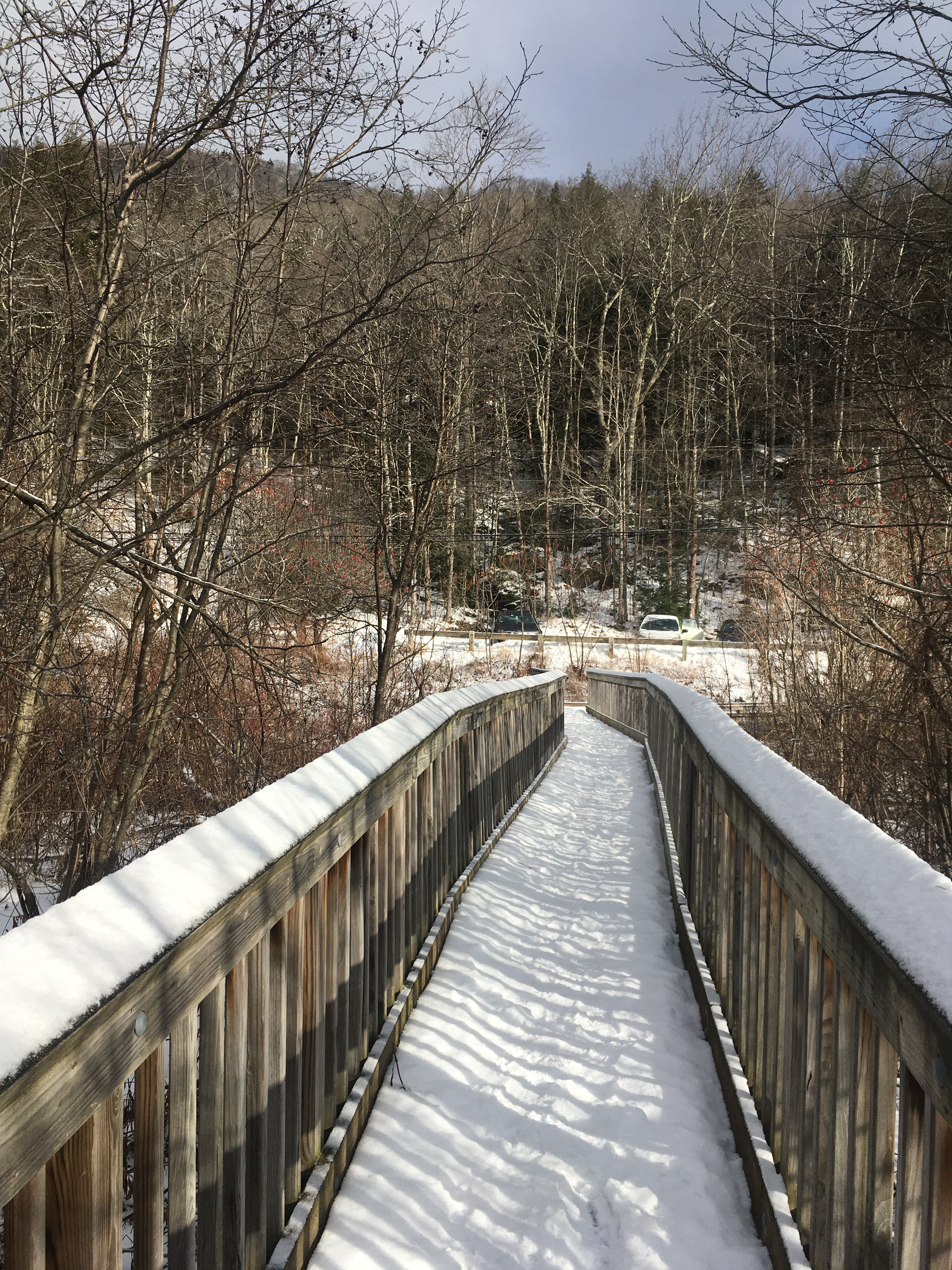 3079EFA7-0F11-44D2-A7E0-60DD927A3A37