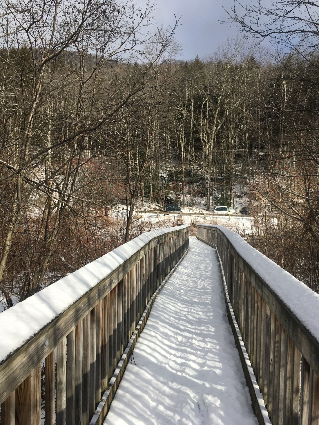 3079EFA7-0F11-44D2-A7E0-60DD927A3A37