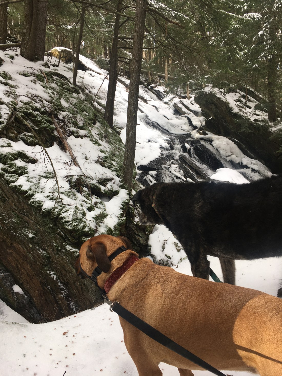 352A4CC7-E012-4363-970F-C73E3DD13ACF