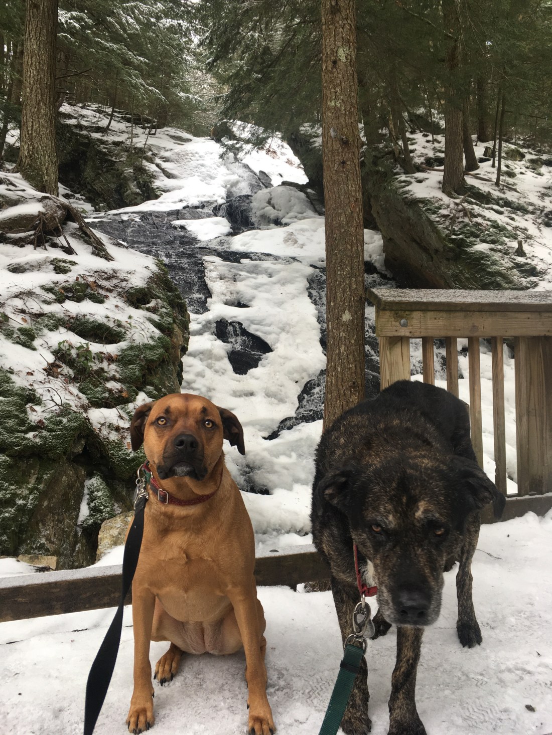 4863C8A6-6E86-4E0E-B20C-F69DA6FCB373