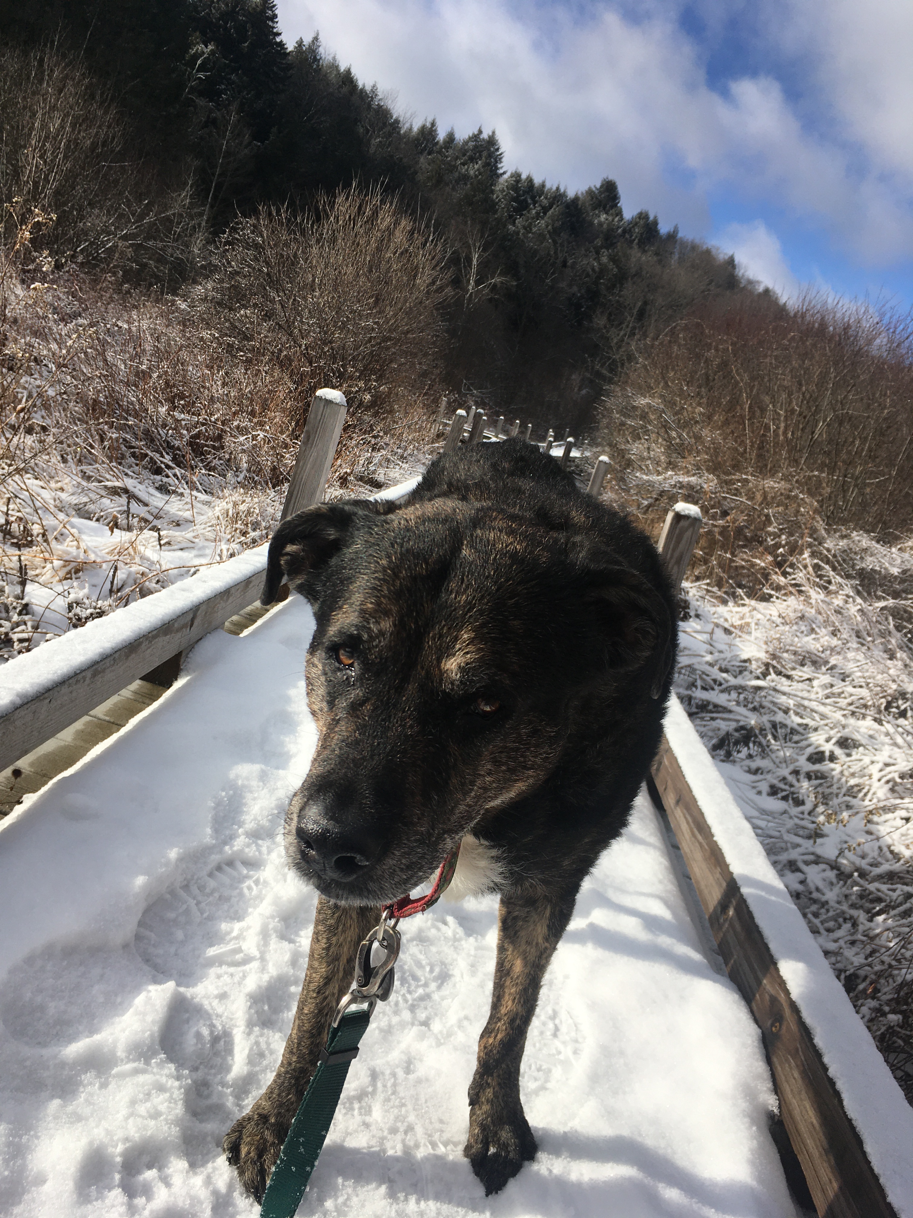 4E78CA10-47F0-47C9-90DA-6BDDC1ABC381