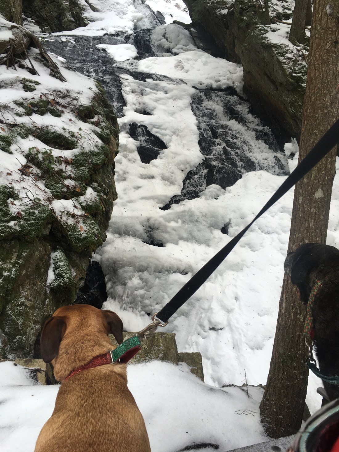 5C9EE670-8D4B-49DE-B573-892BE3151009