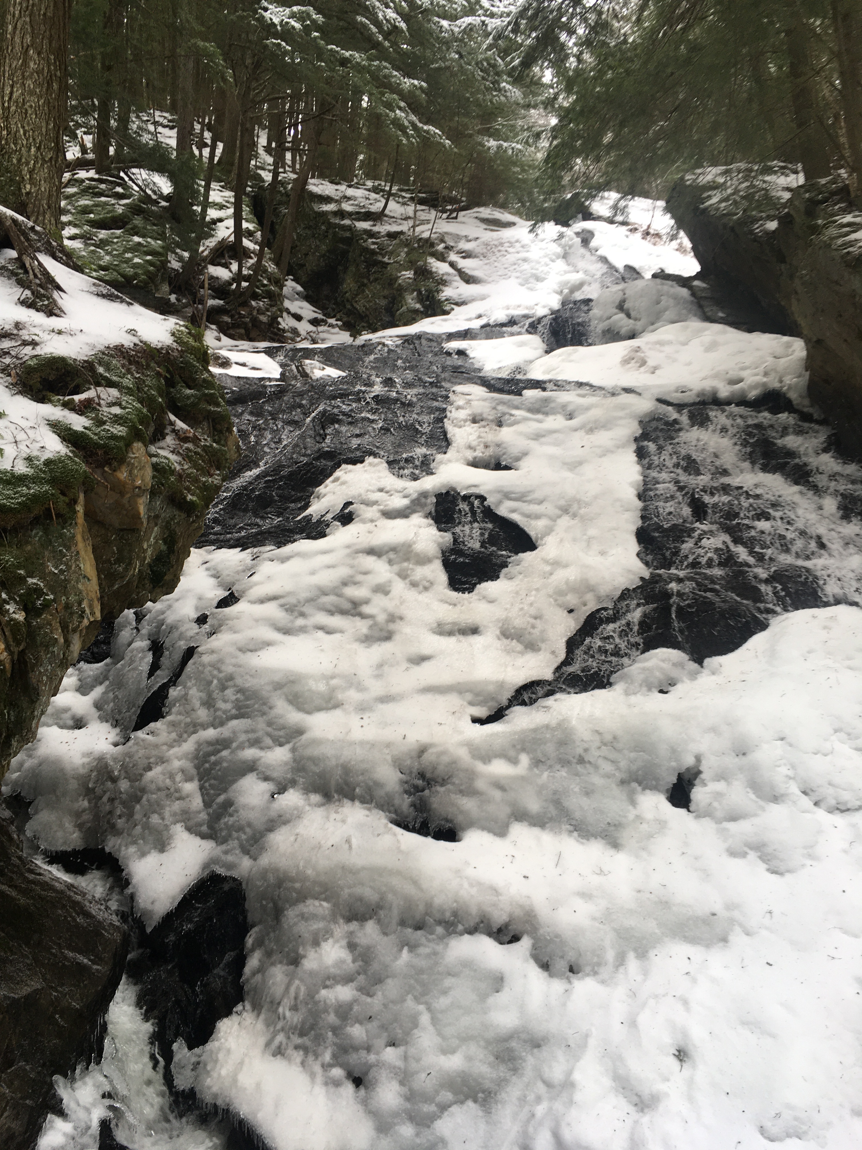 5D3564E7-1391-4E18-9BB0-65331CAD86EA