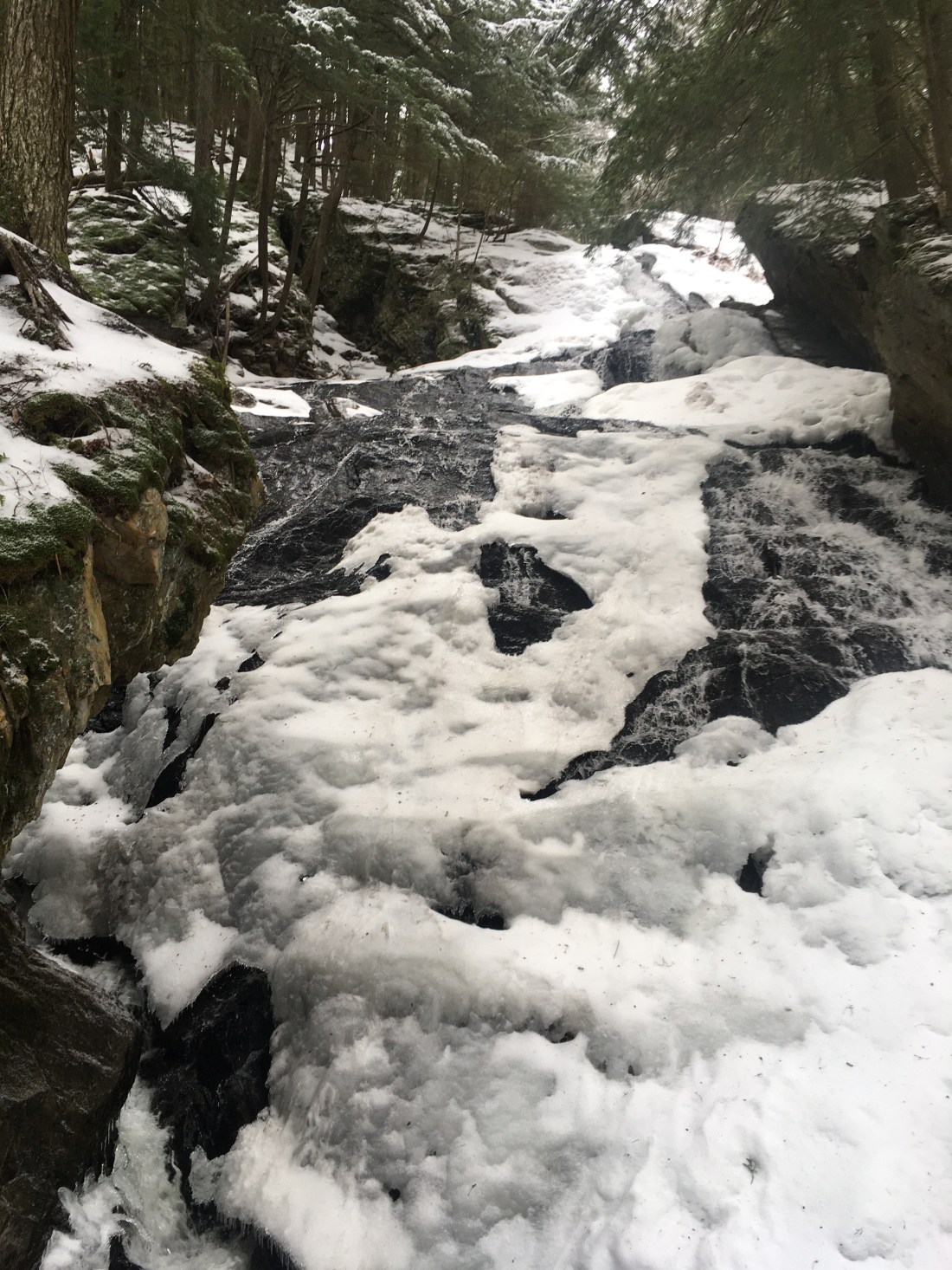 5D3564E7-1391-4E18-9BB0-65331CAD86EA