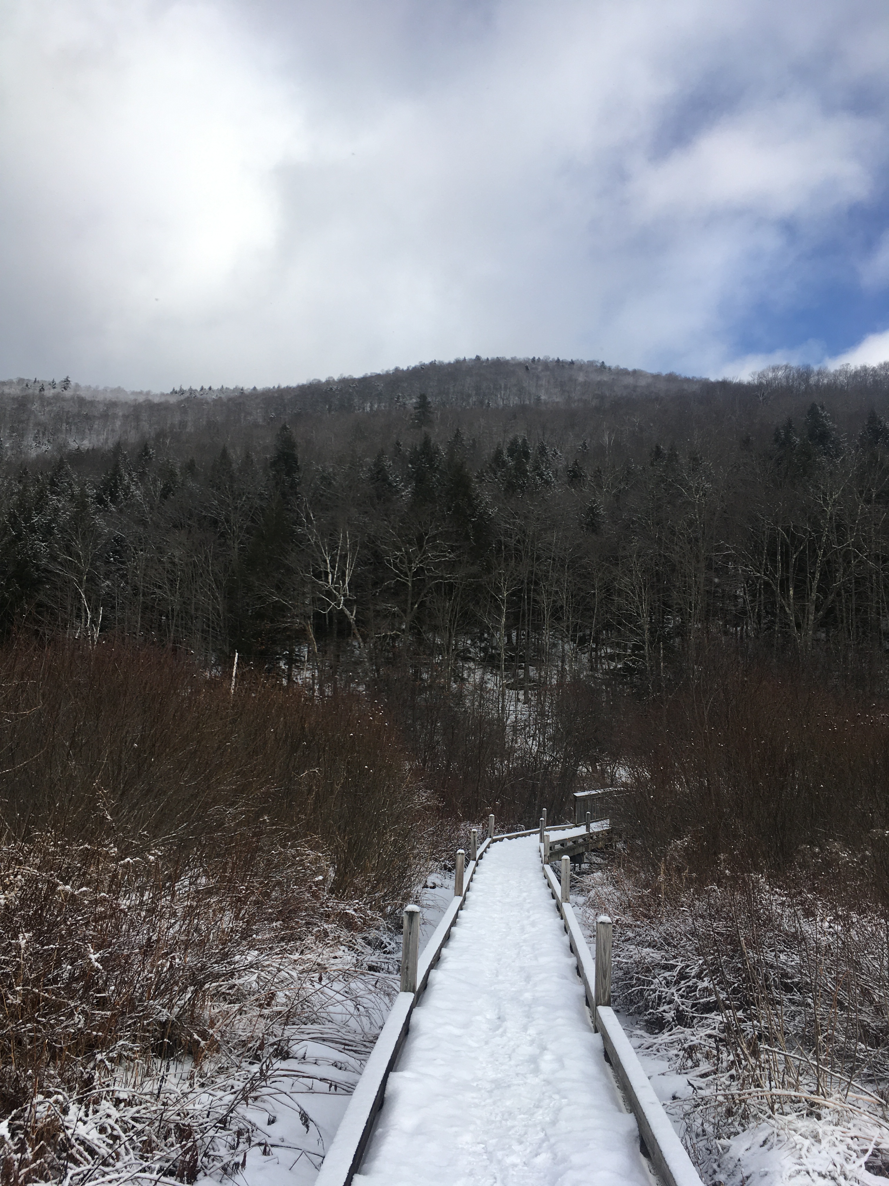 62F3F6D0-89B6-457A-BB91-804226798DAA