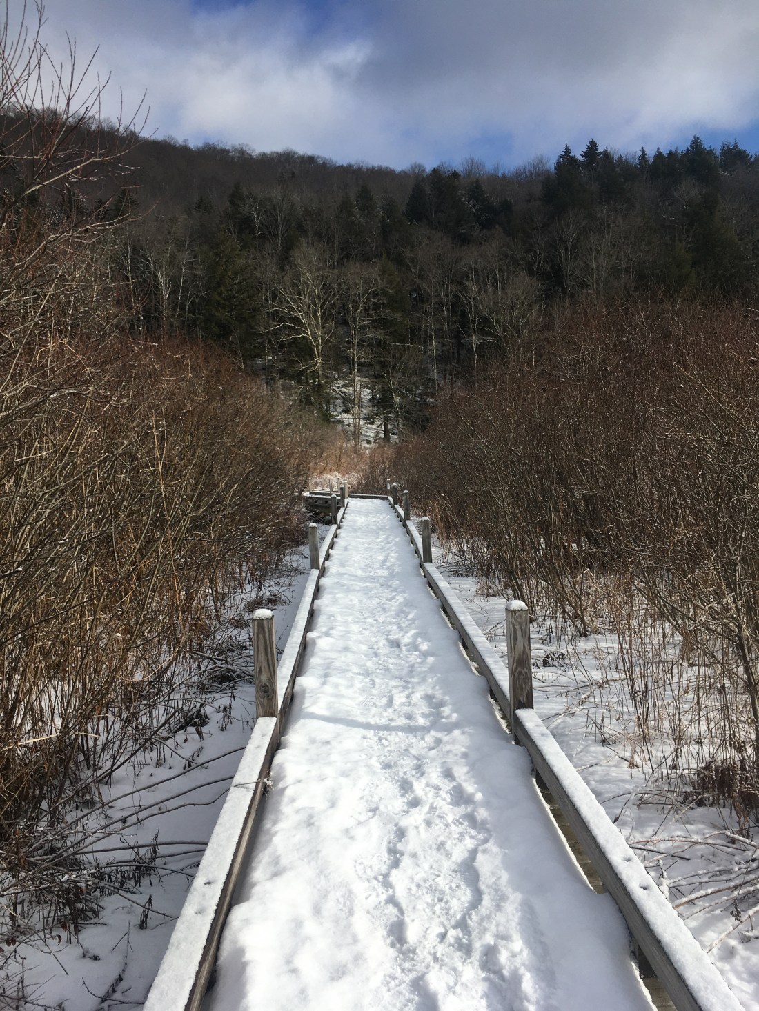 6A0B740C-342A-4043-A779-97A21BC6FA5A