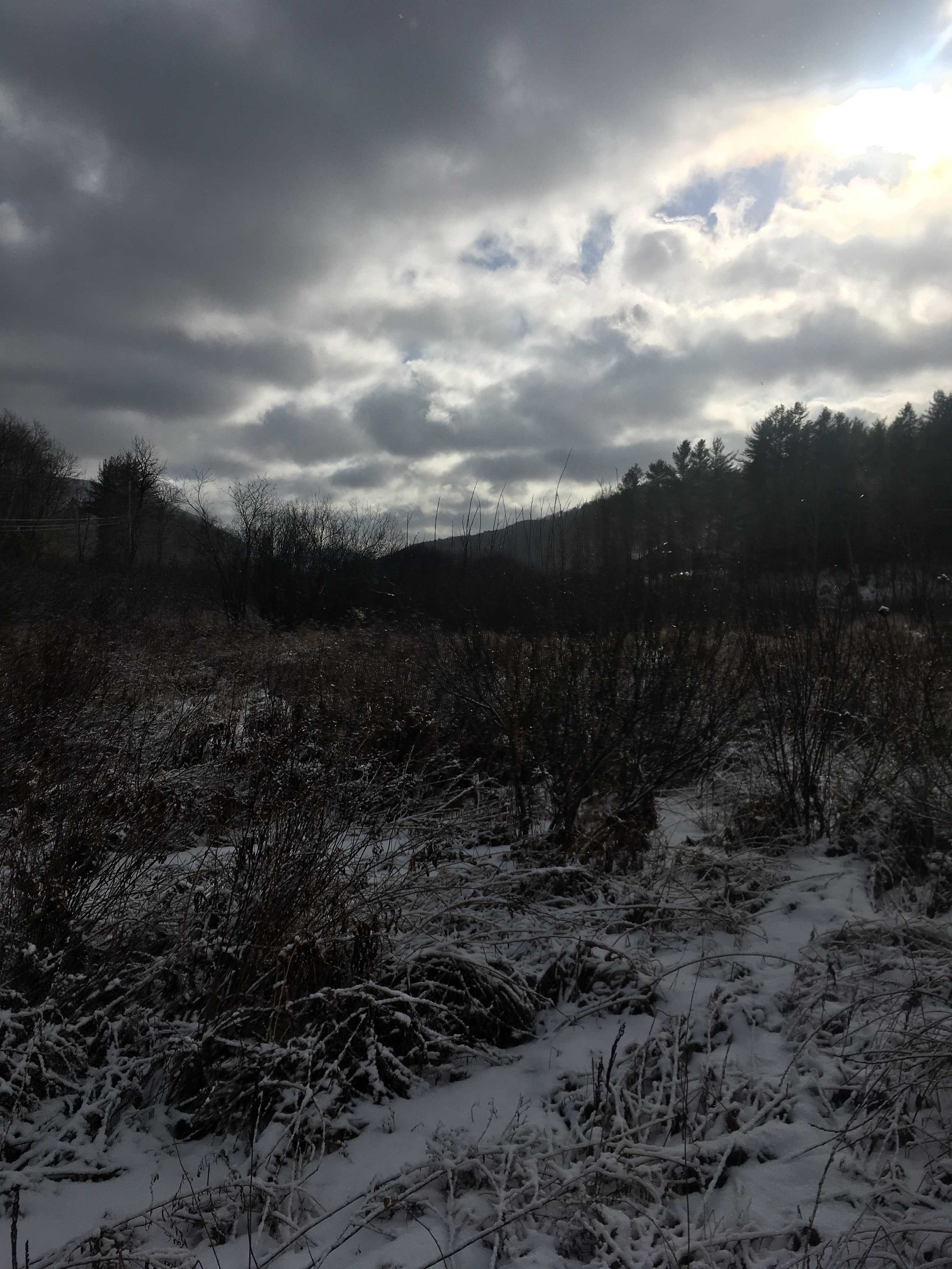 7117CFA7-39B1-4FED-8997-38BDFF76BD72