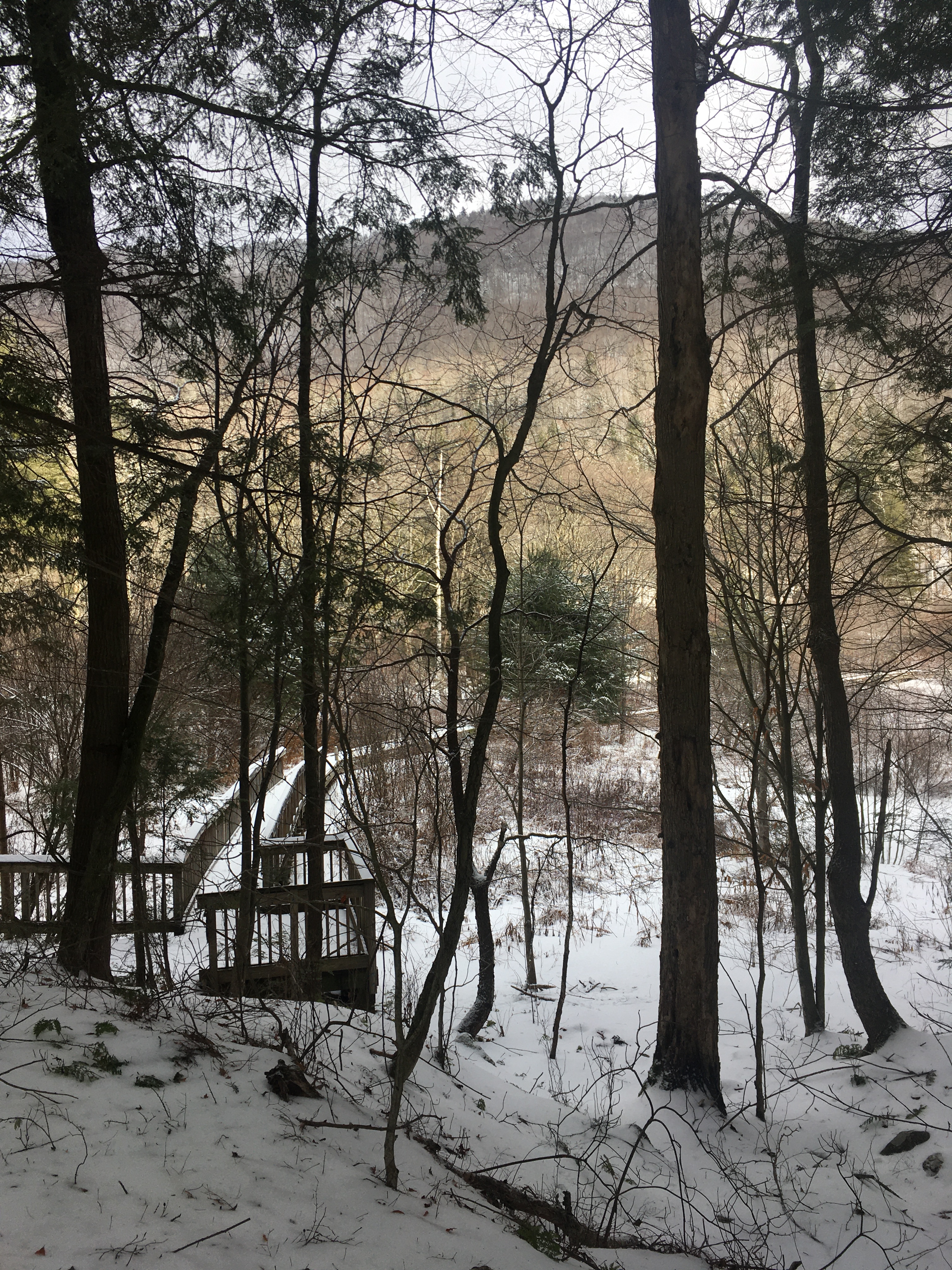 71A3F9C9-8956-46AF-8A94-1103677E5905