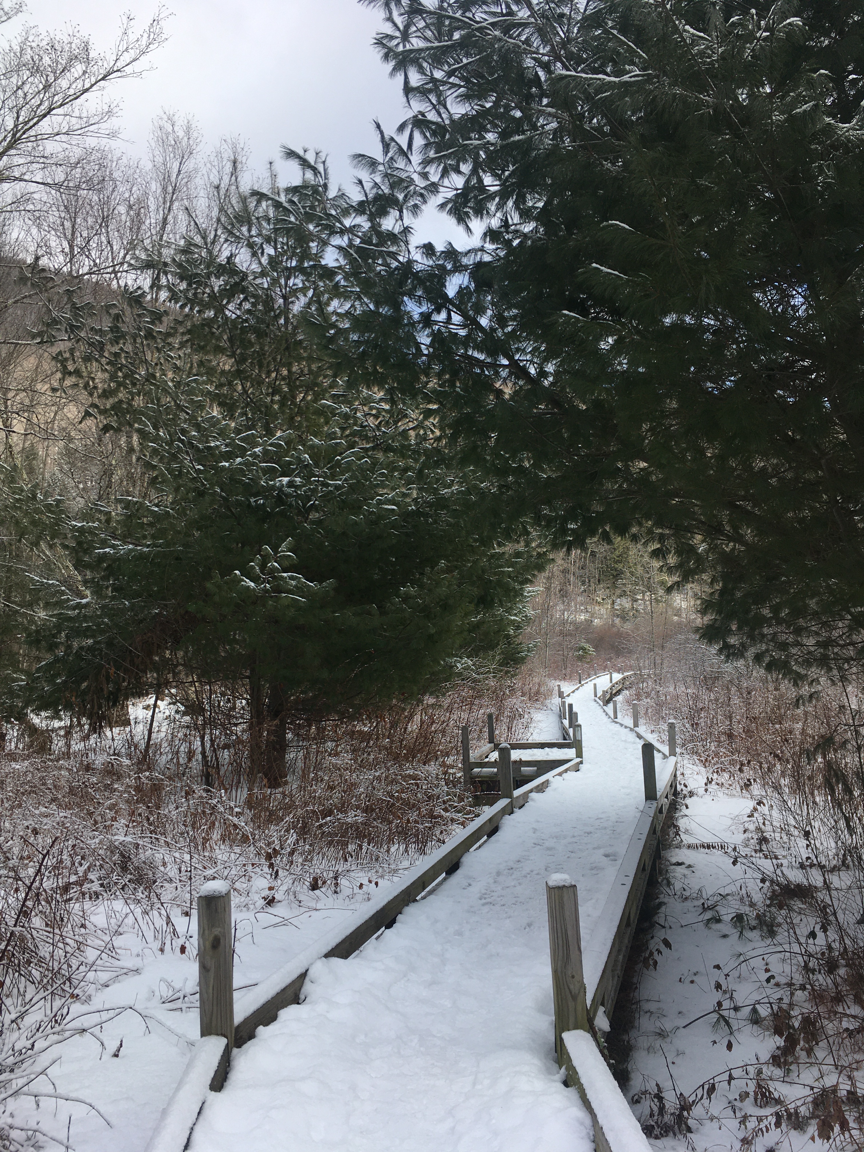 7609BA6A-2F54-4696-8C81-786978F6BE76