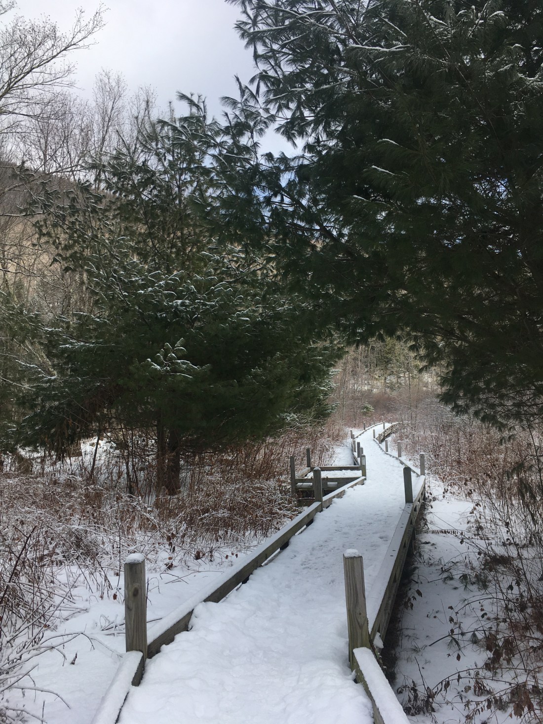 7609BA6A-2F54-4696-8C81-786978F6BE76