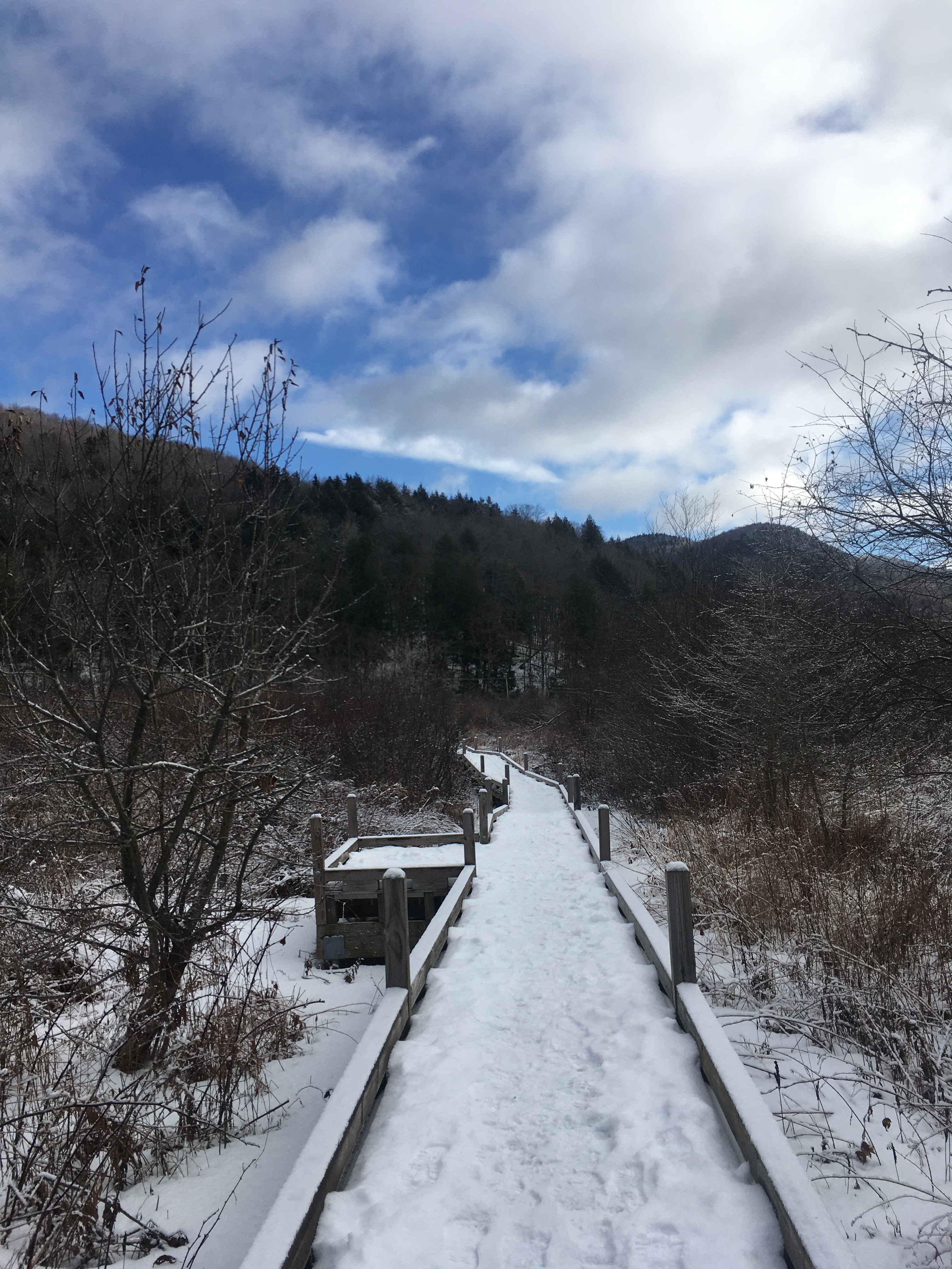 7F3CE76B-B8FE-4D36-BEF7-DDA3248EC21C