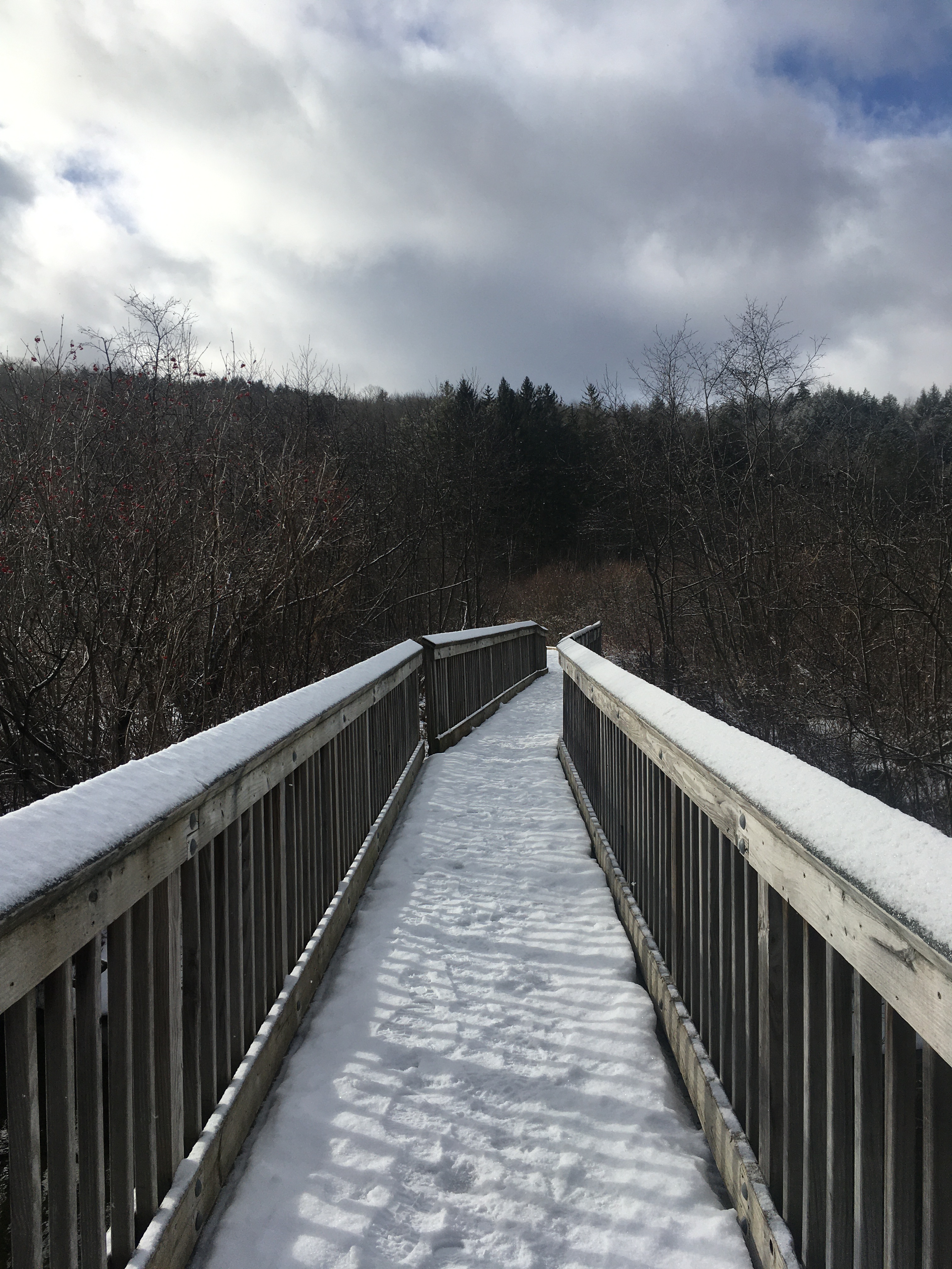 81638C68-F9B0-40F7-980C-BD54D681560F