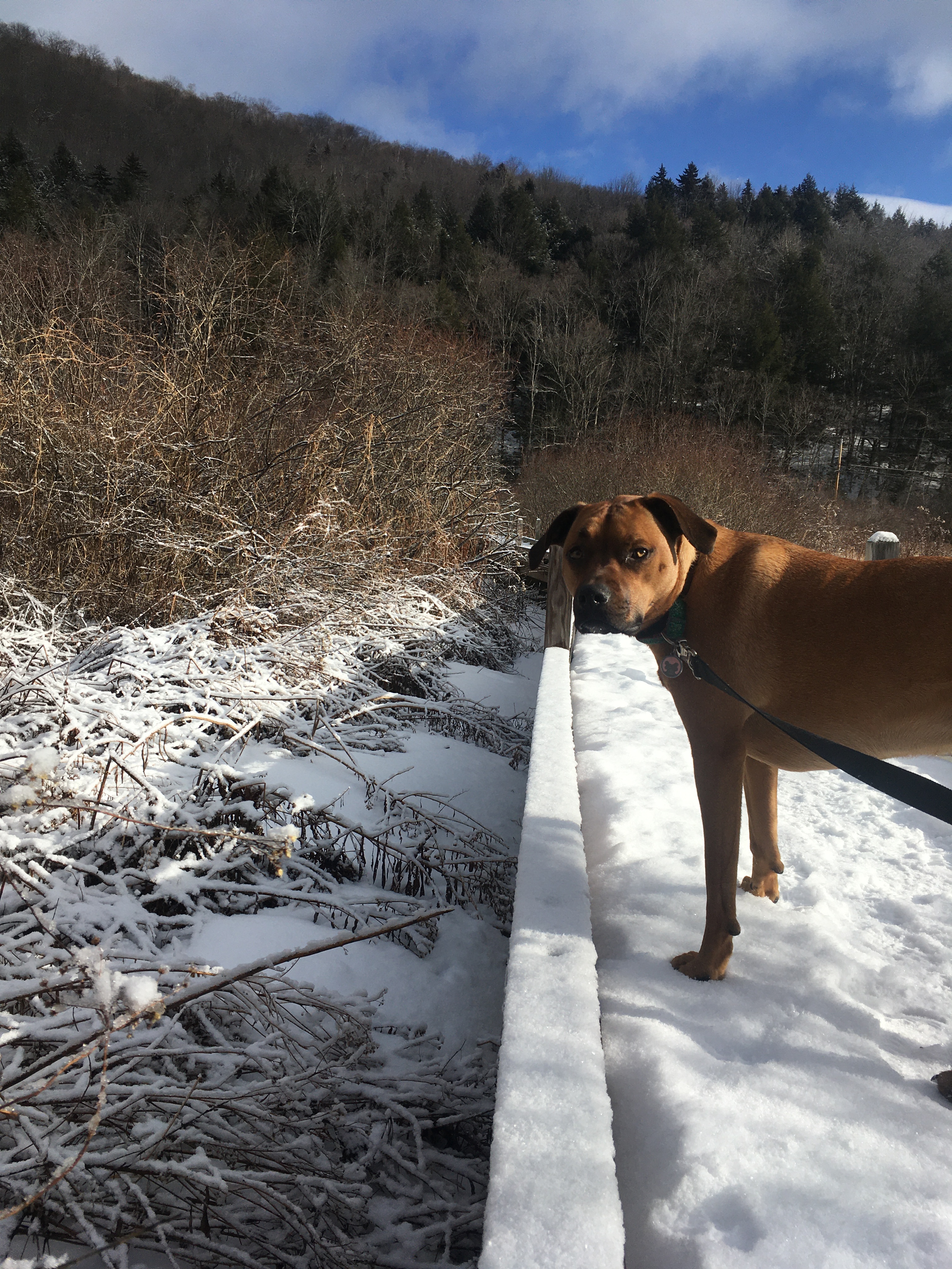 860242CB-BD17-4EC3-B547-4DD226E14FFF