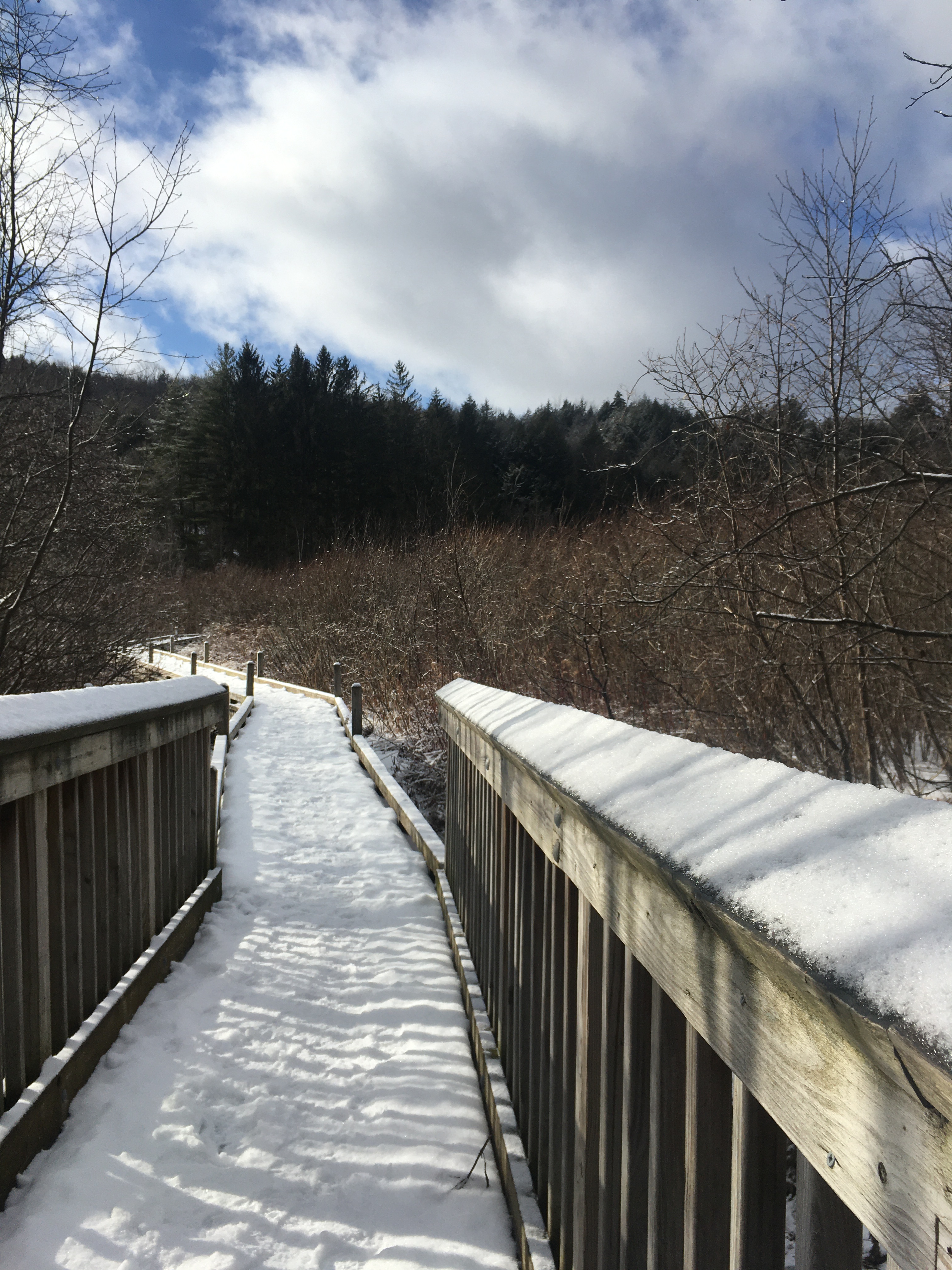 8DC1C149-F55C-415A-BAFF-DDEF9BCD9558