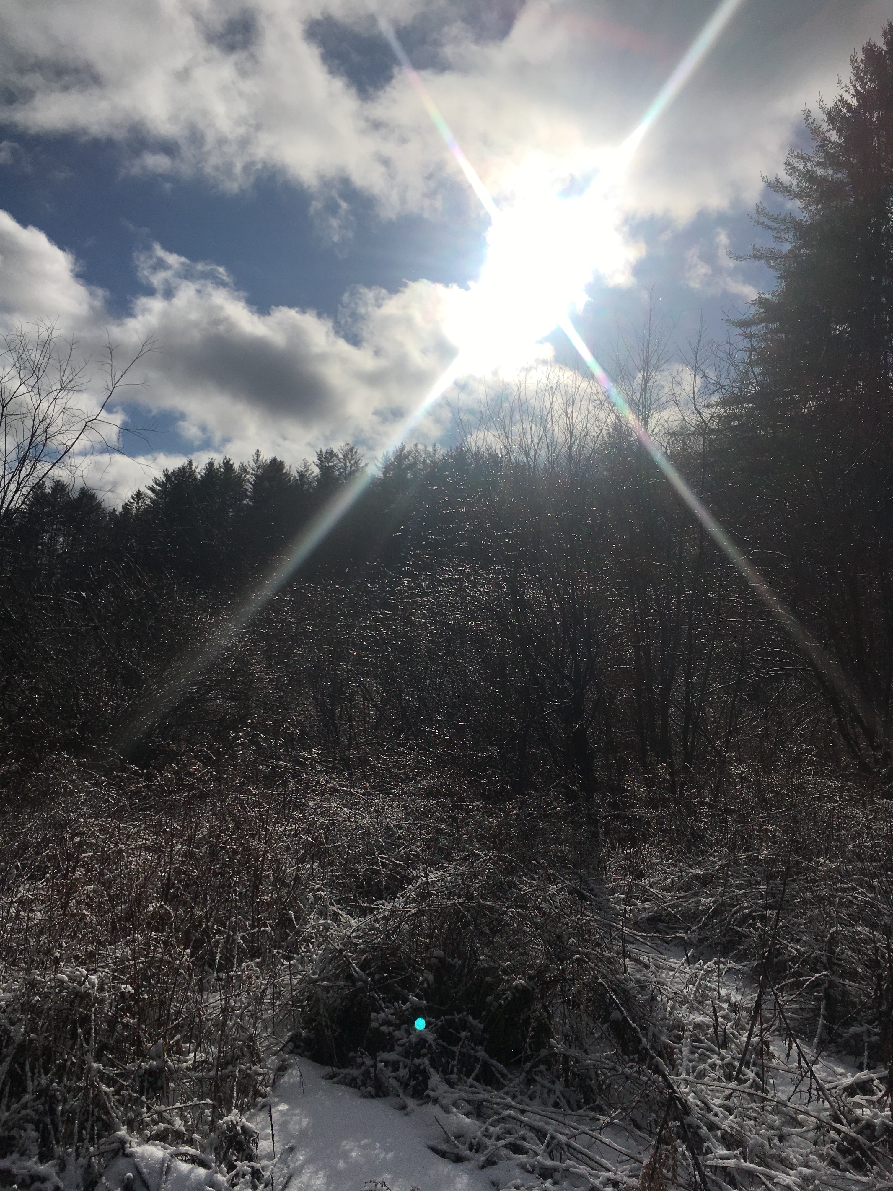 8E5B07B5-800A-48AC-A5B9-C242448E12CB