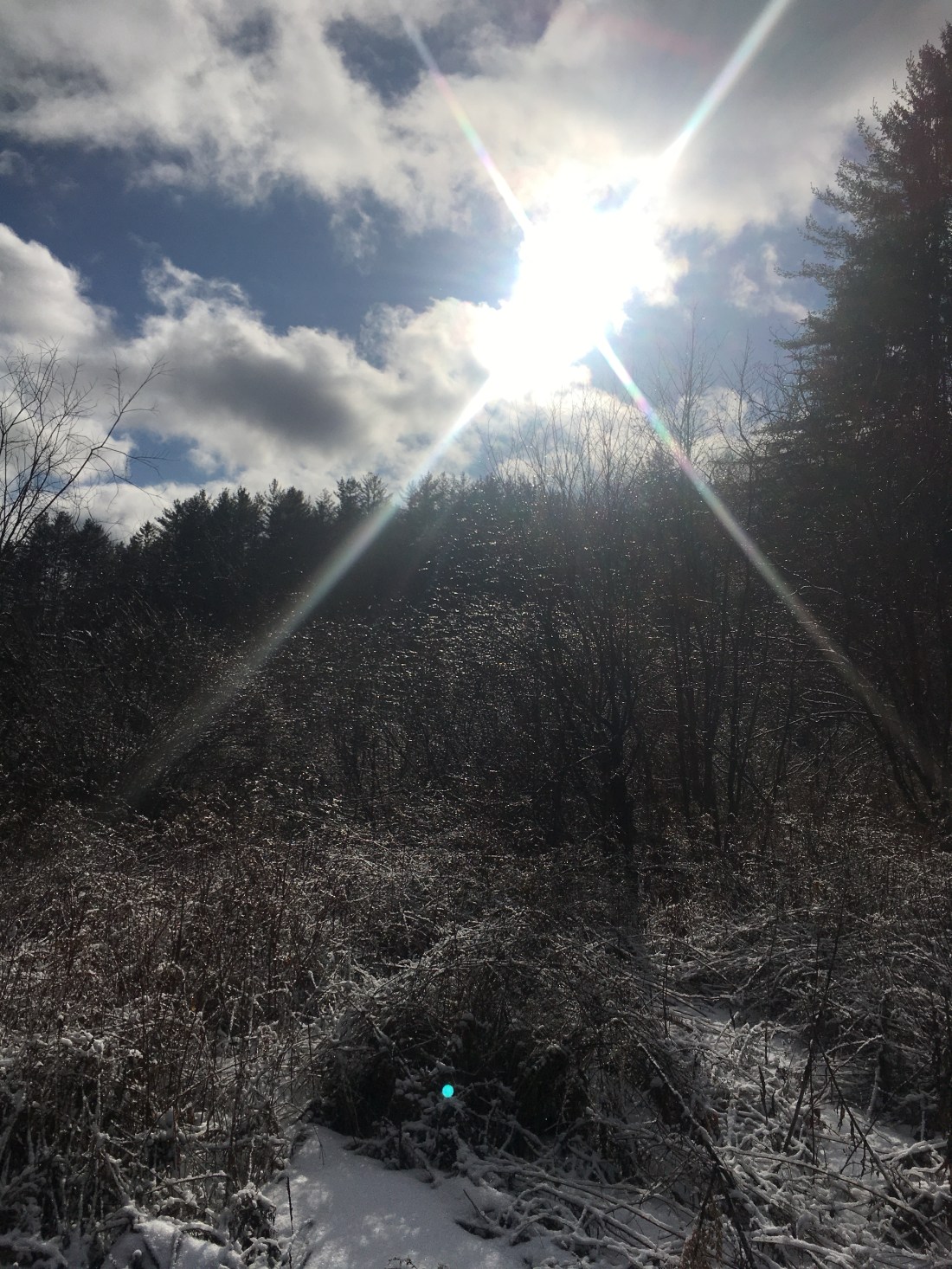 8E5B07B5-800A-48AC-A5B9-C242448E12CB