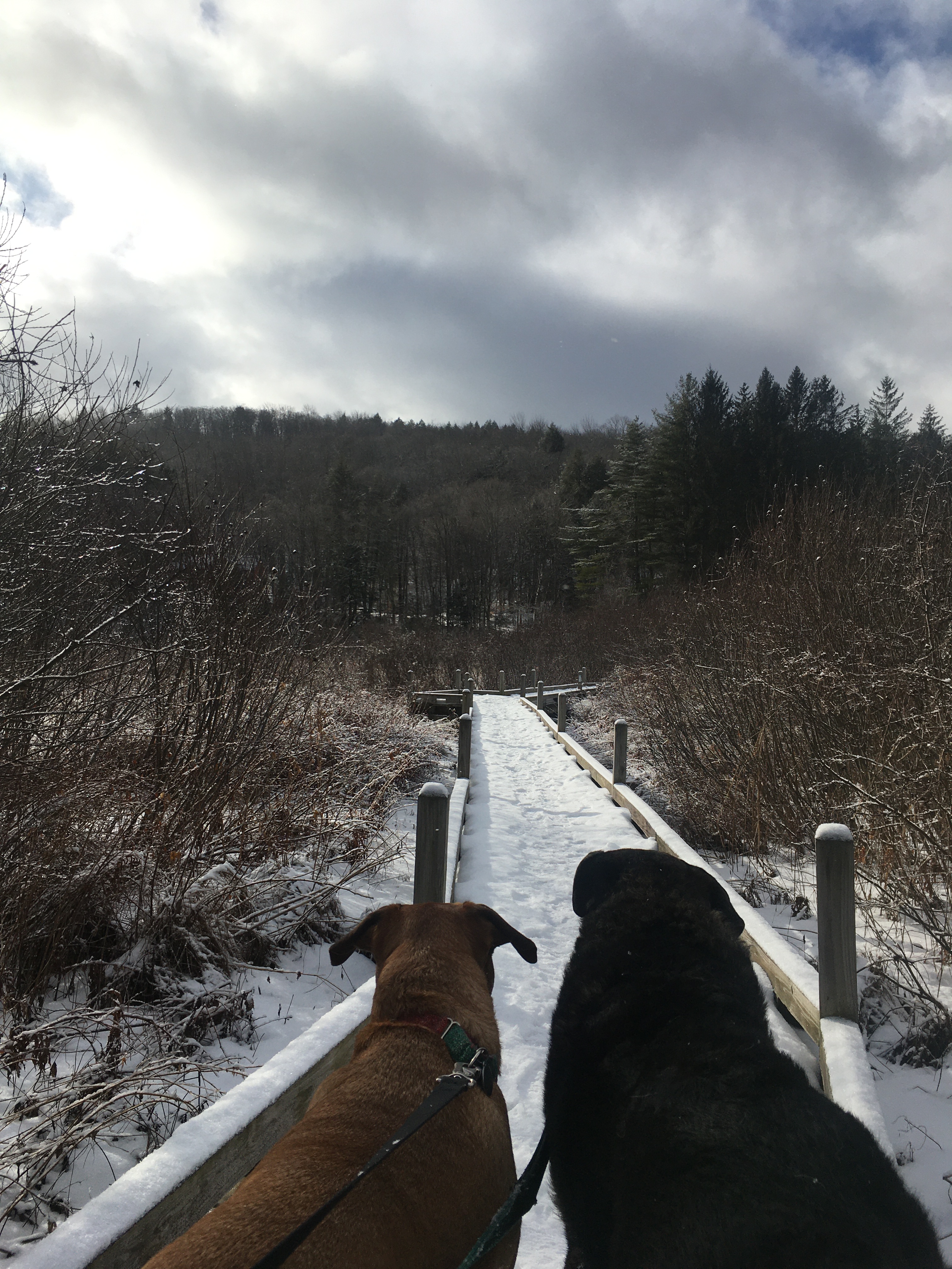 8E84B952-6723-4438-AD18-10EFB64EF55F