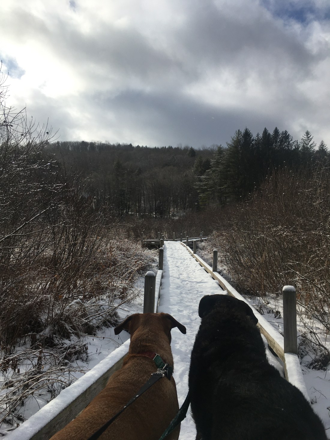 8E84B952-6723-4438-AD18-10EFB64EF55F