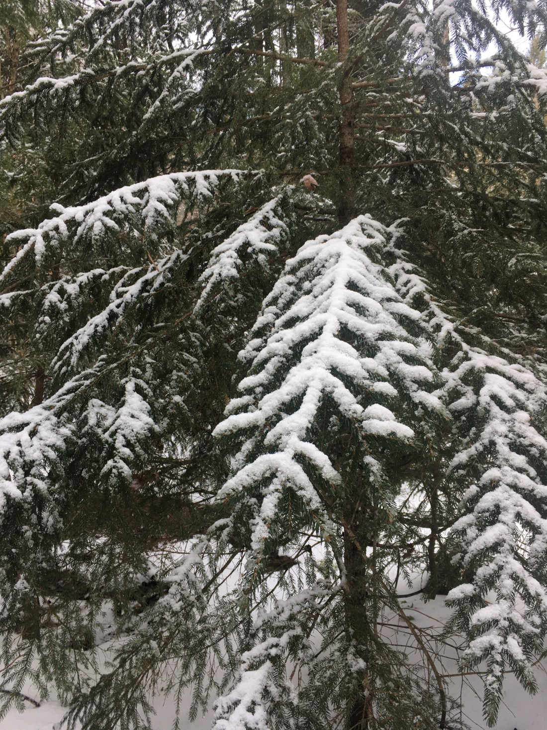 8ED74156-9336-4145-9B11-0F037A28FBC0