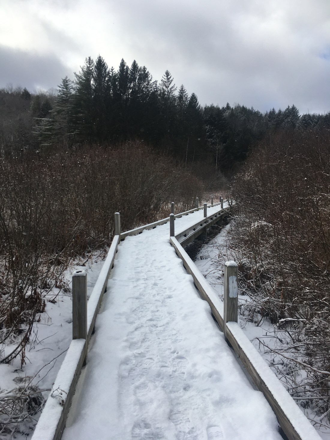 8FD3D35D-02C0-478F-9EA3-D4D37BE94E37