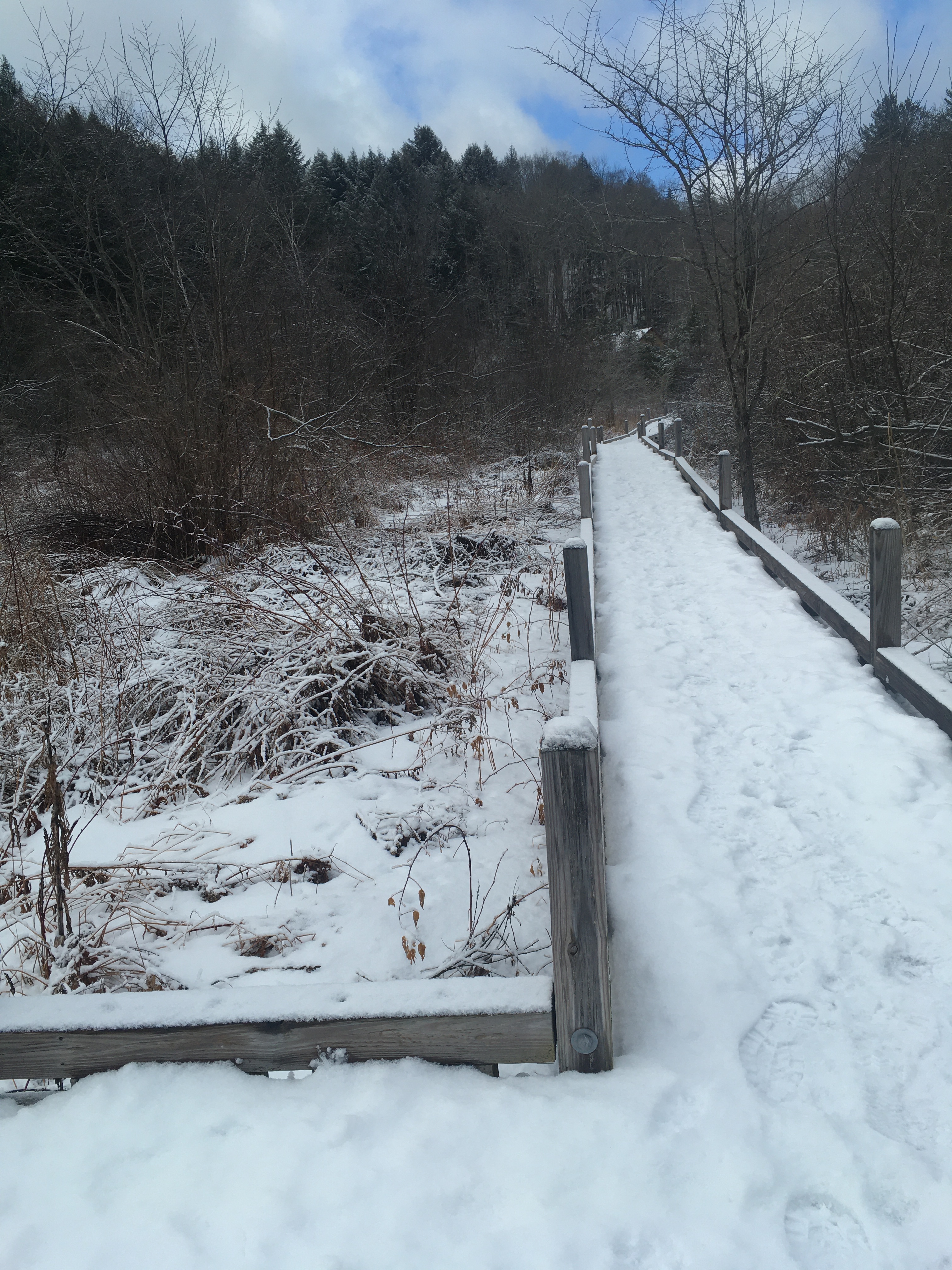 901219C0-FA24-4E57-AAEA-B3A4825A830B