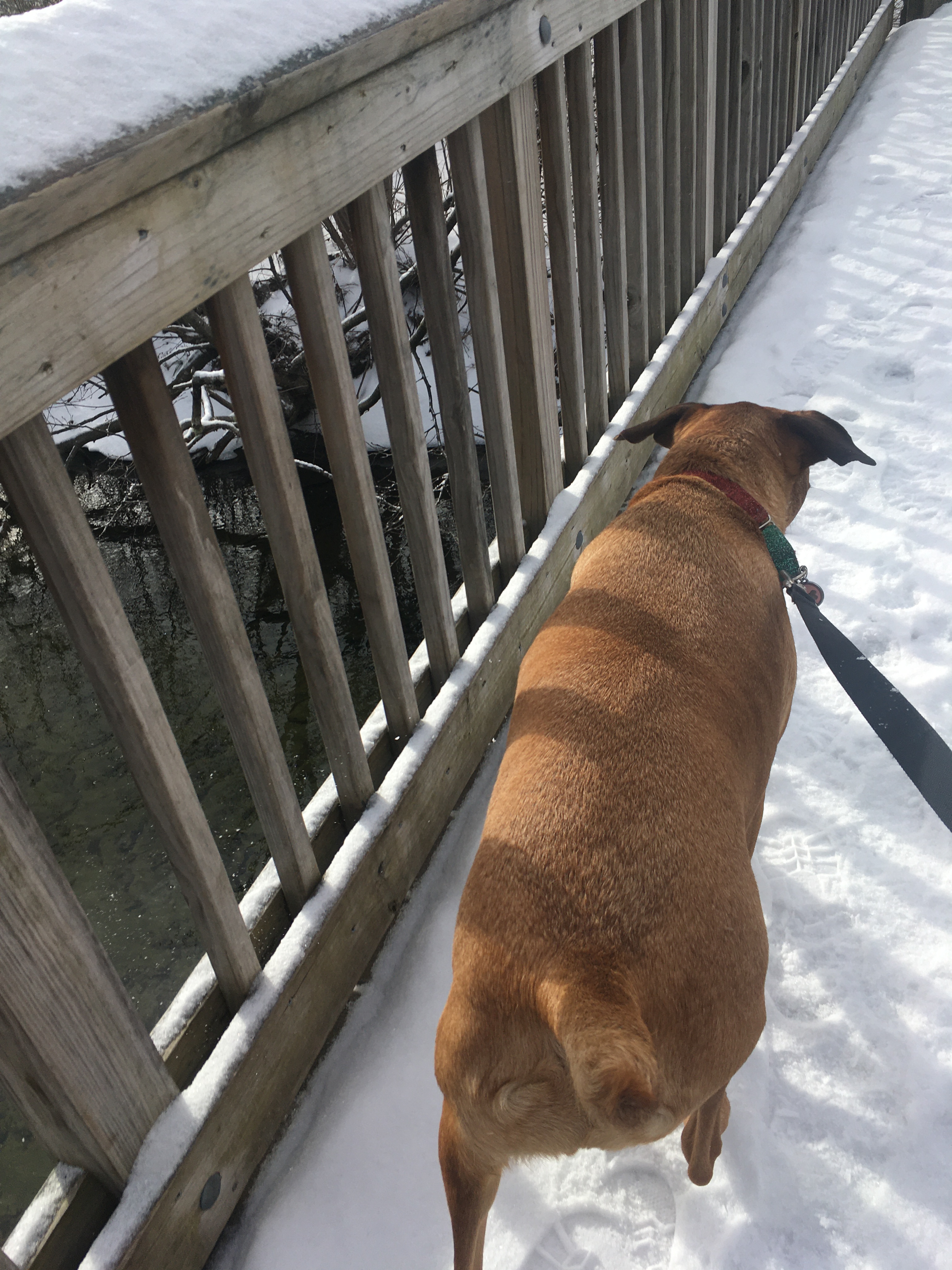 9A368636-1F9A-45F7-898C-212CD9B717C9