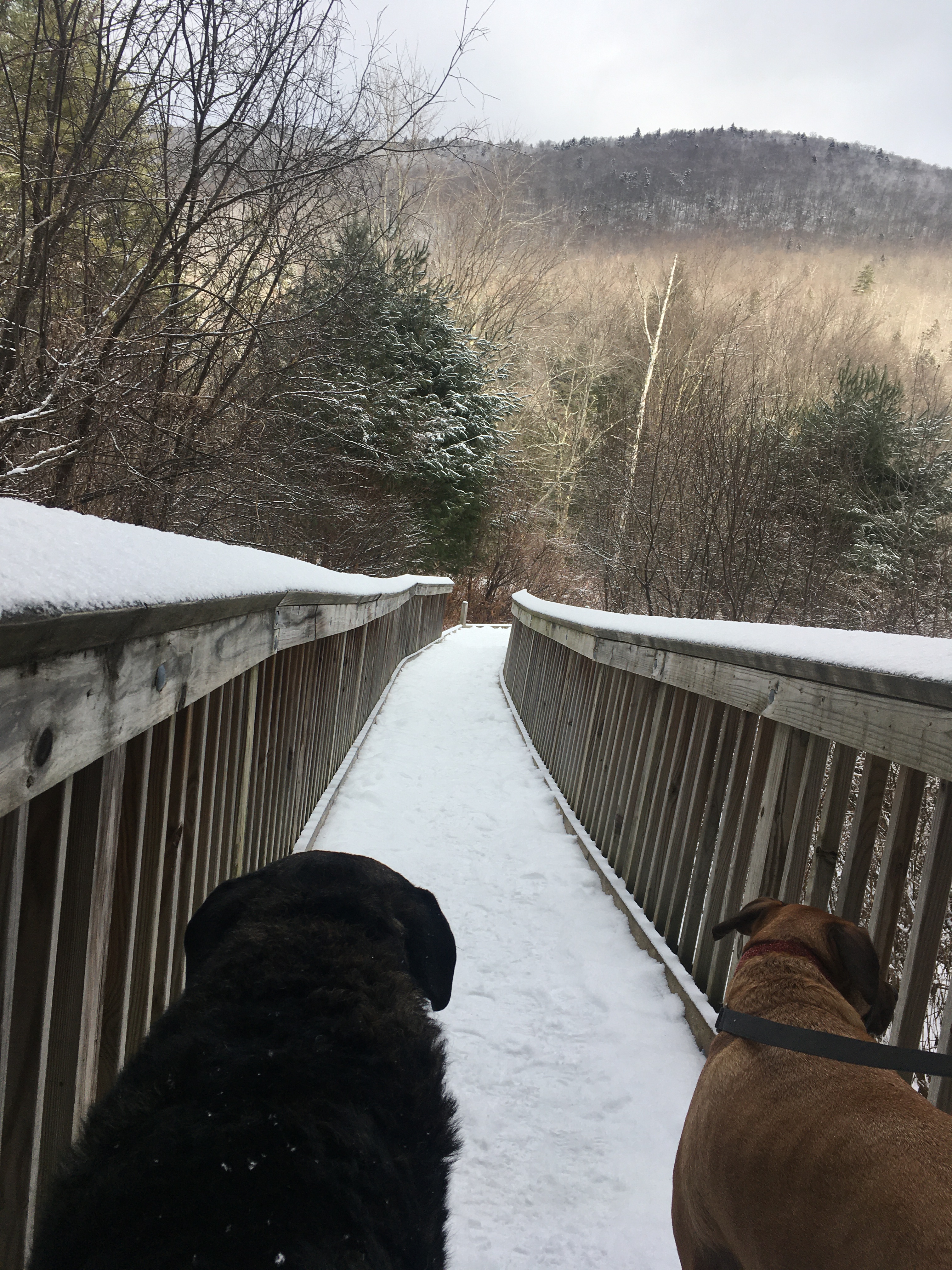 9A647B20-2600-48F5-AA33-72DC5B9413EB