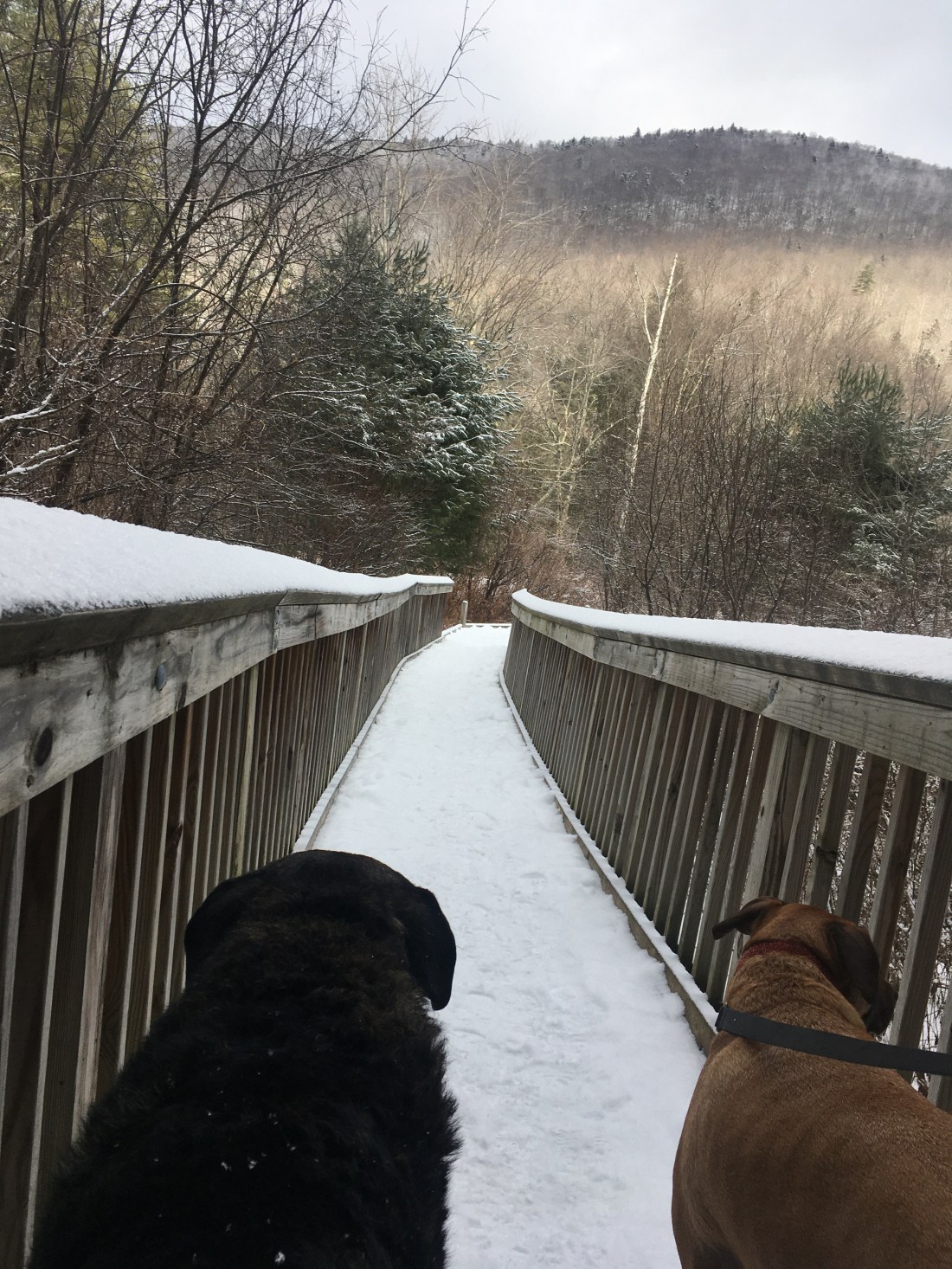 9A647B20-2600-48F5-AA33-72DC5B9413EB