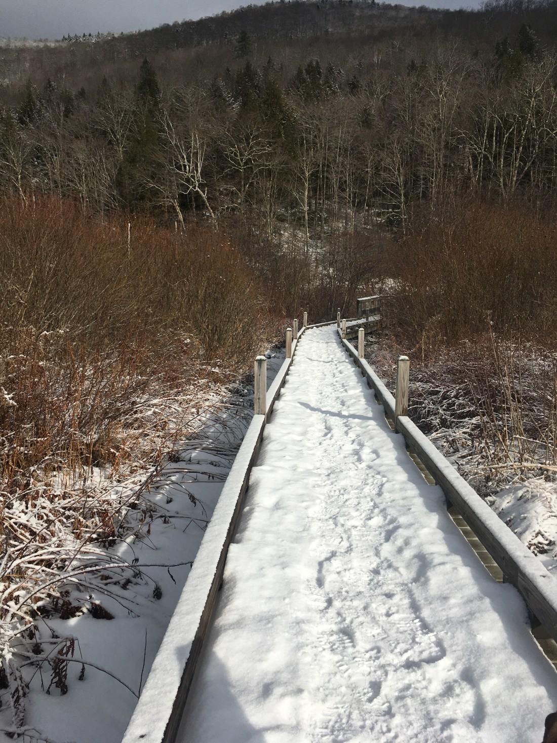 9FEA6511-B0ED-454B-9C4B-099EF1B71EA6