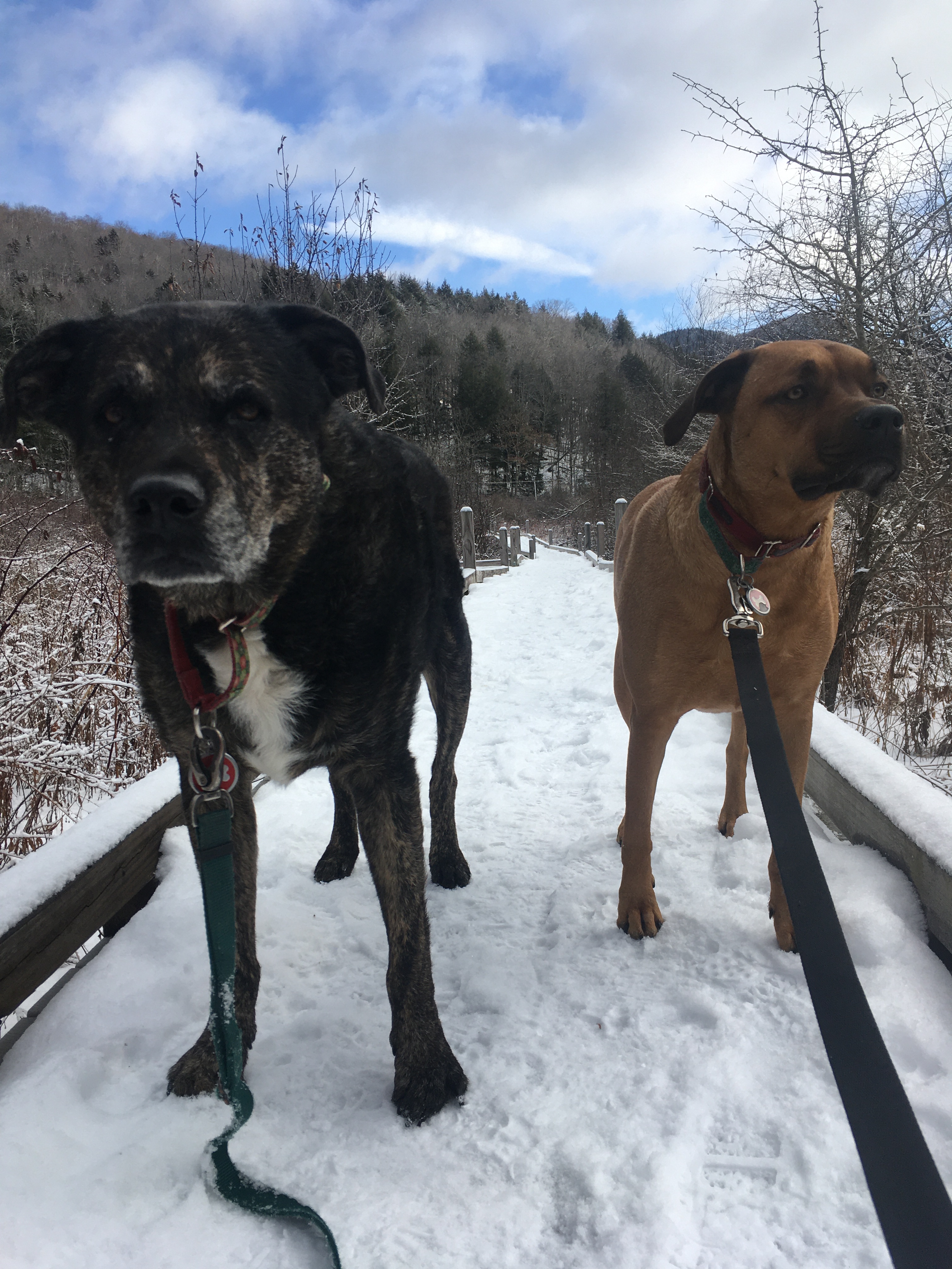 A28172C6-D562-4D62-B8EF-1C134DAC9412